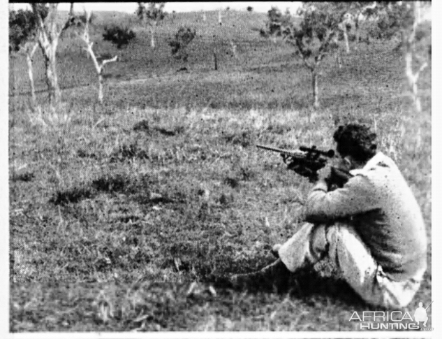 Leopard Hunt India