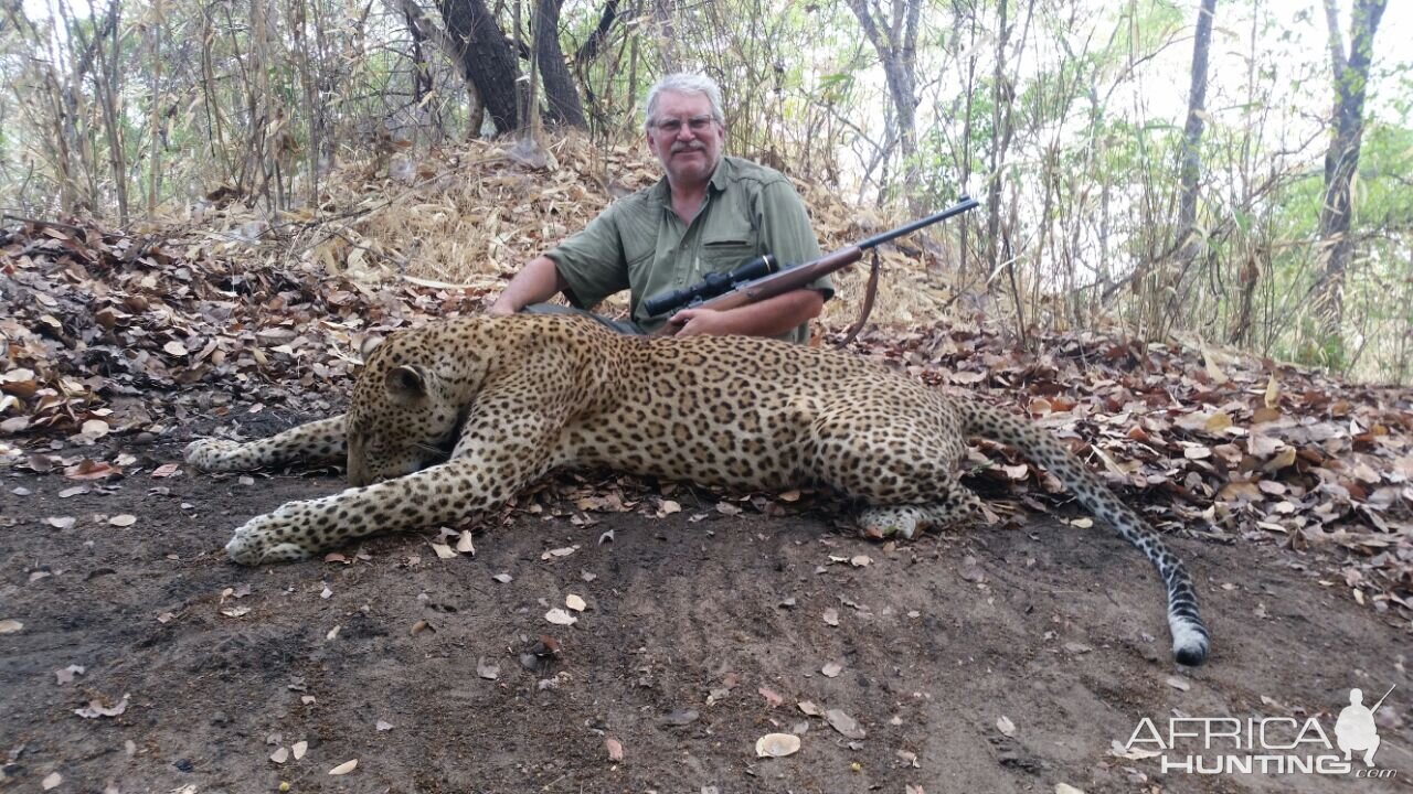Leopard Hunt Mozambique