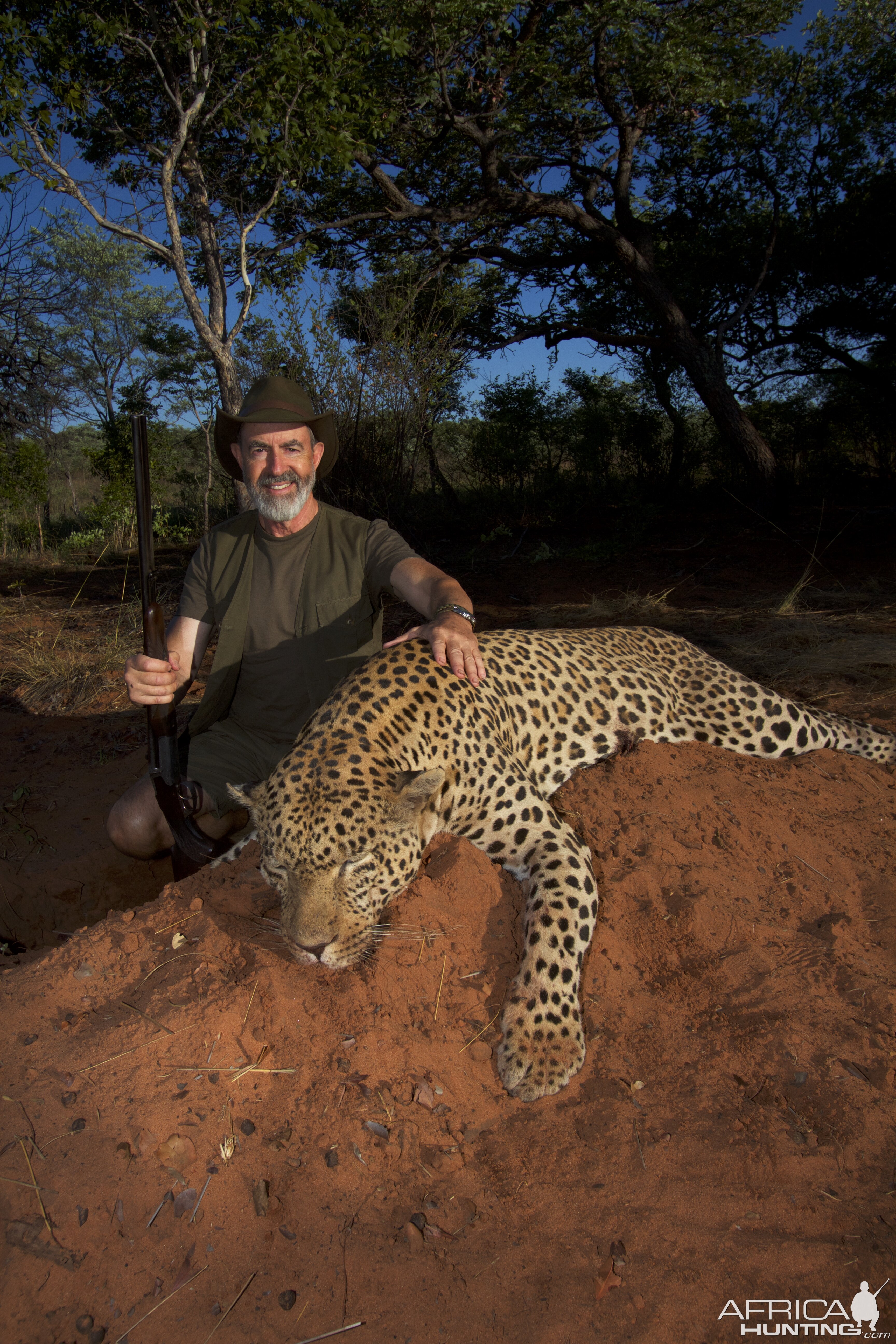 Leopard Hunt Nambia Waterberg Plateau