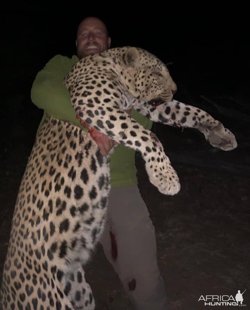 Leopard Hunt Namibia