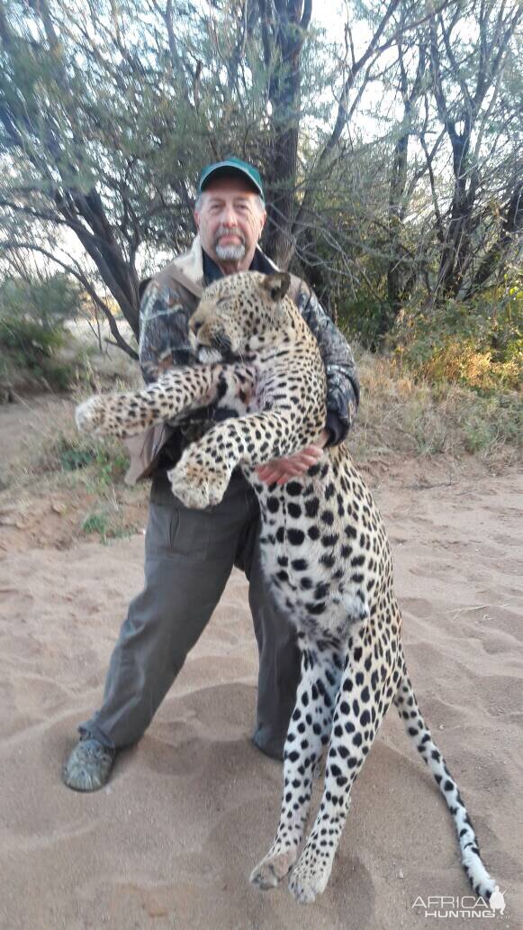 Leopard Hunt Namibia