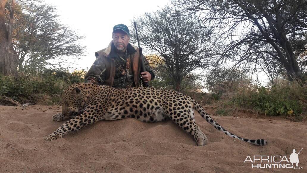 Leopard Hunt Namibia