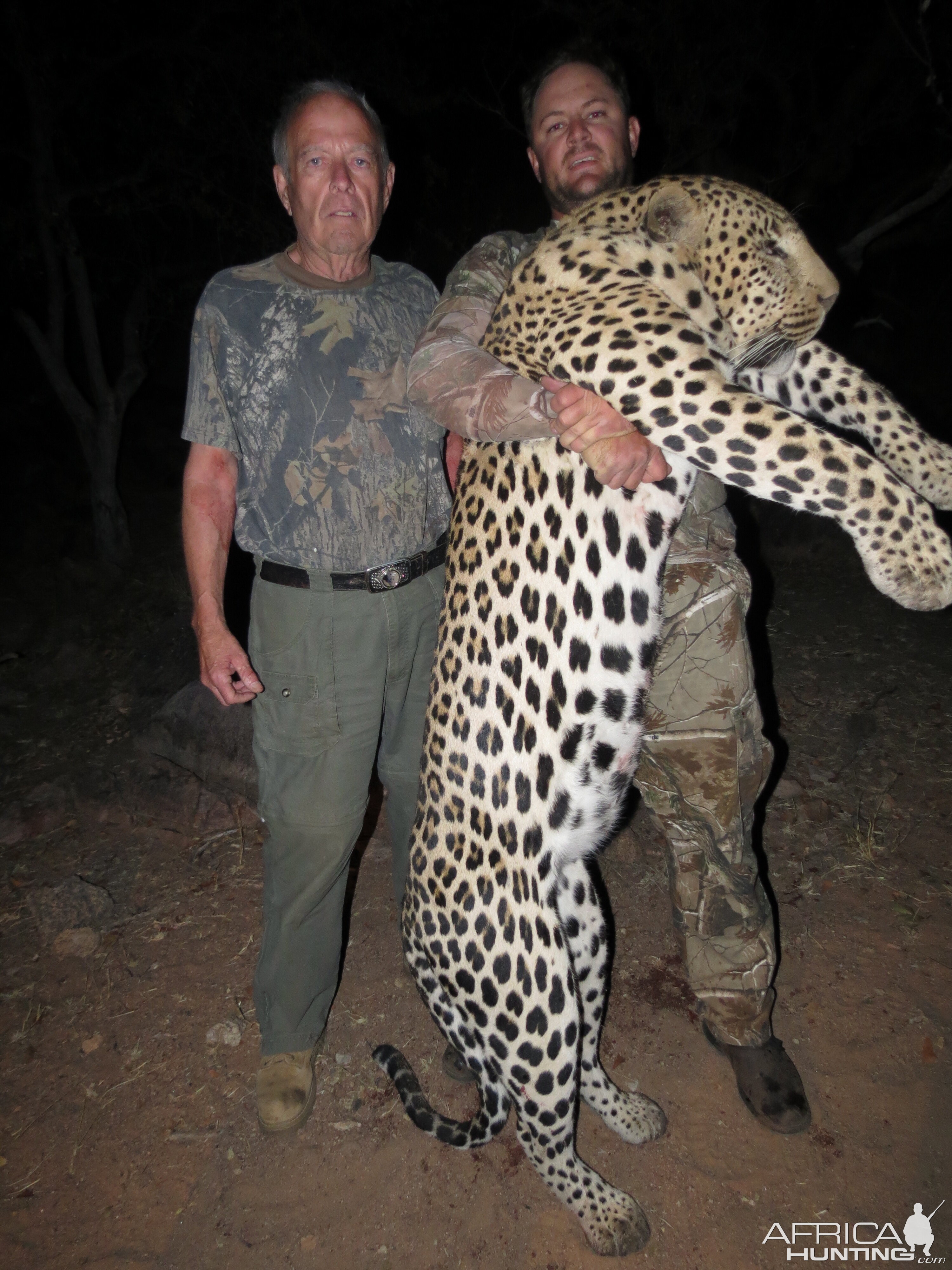 Leopard Hunt Namibia