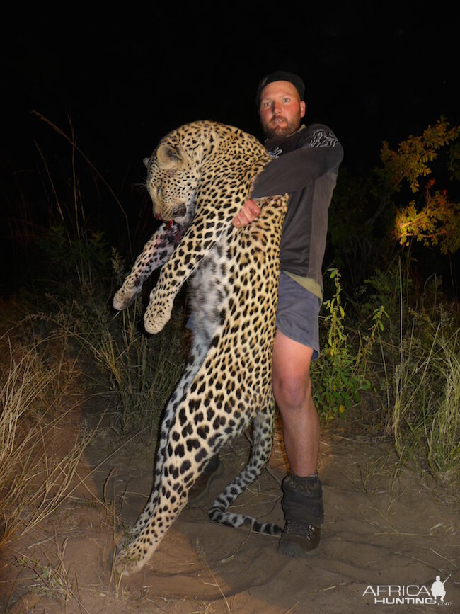 Leopard Hunt Zimbabwe
