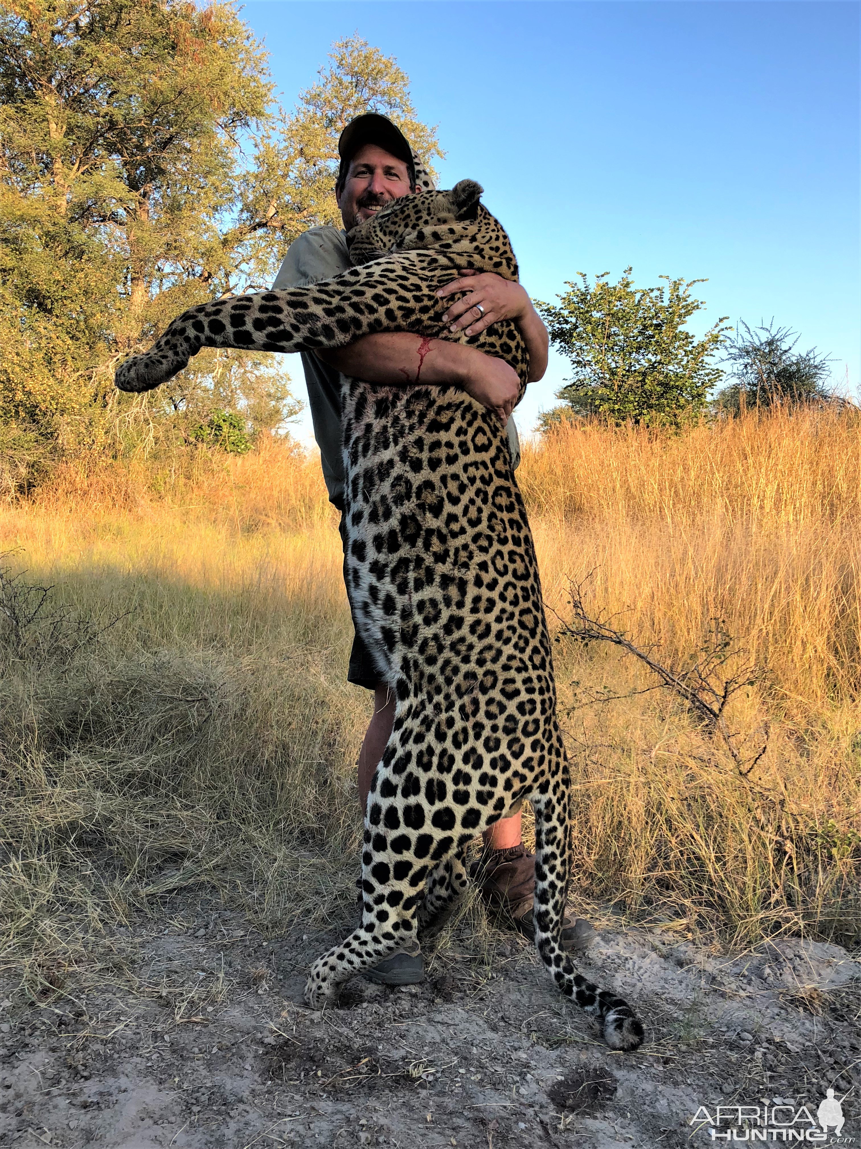 Leopard Hunt