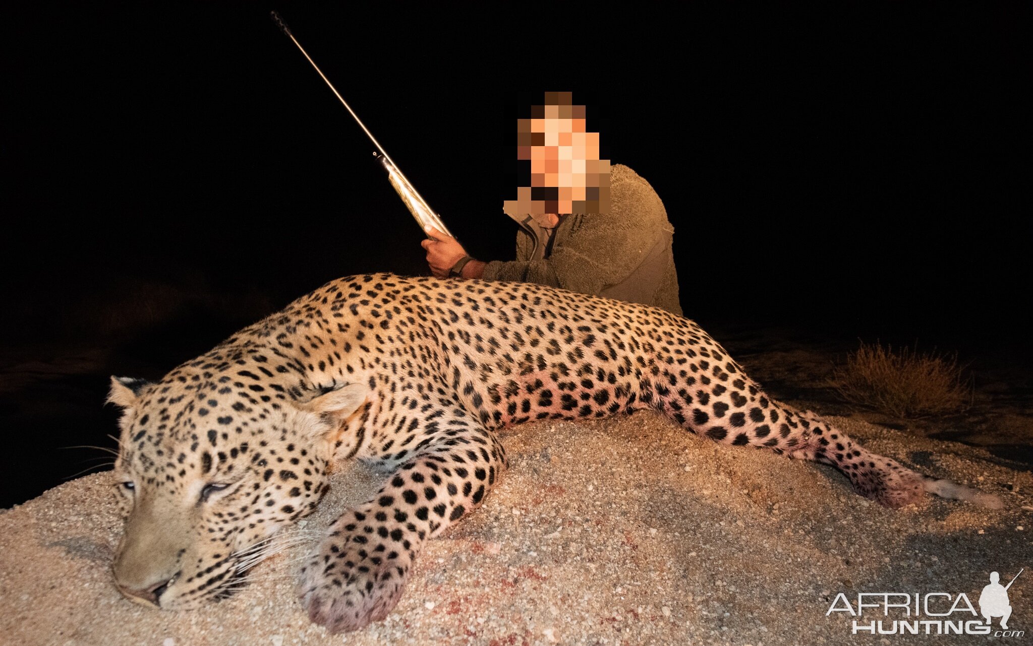 Leopard Hunt