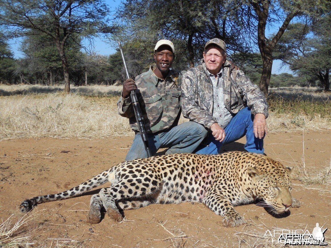 Leopard hunted with Ozondjahe Hunting Safaris in Namibia