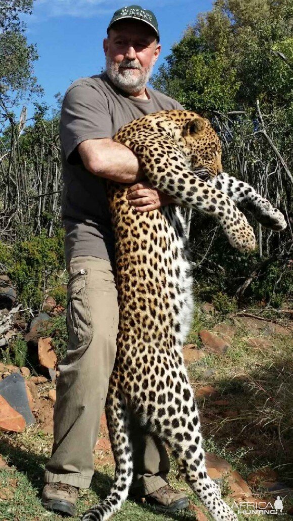 Leopard Hunting In South Africa