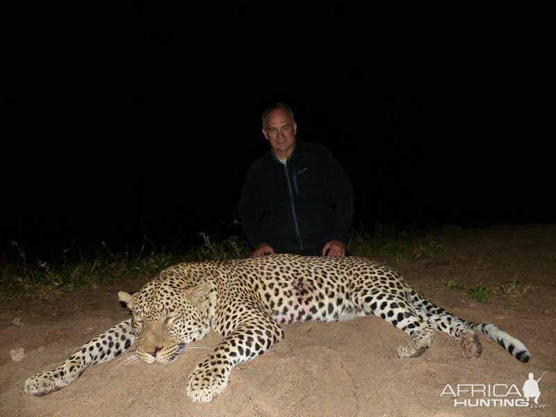 Leopard Hunting in Zimbabwe | AfricaHunting.com