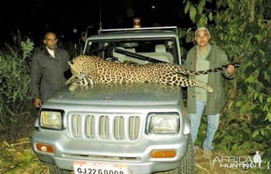 Leopard Hunting India