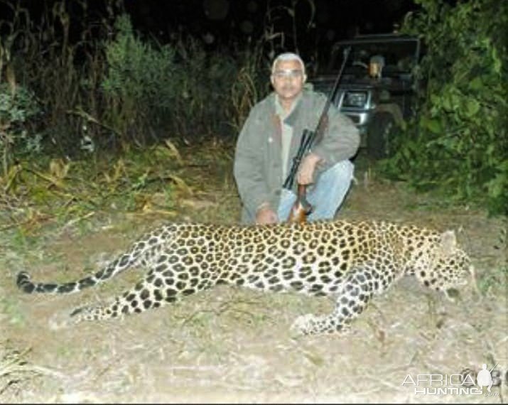 Leopard Hunting India