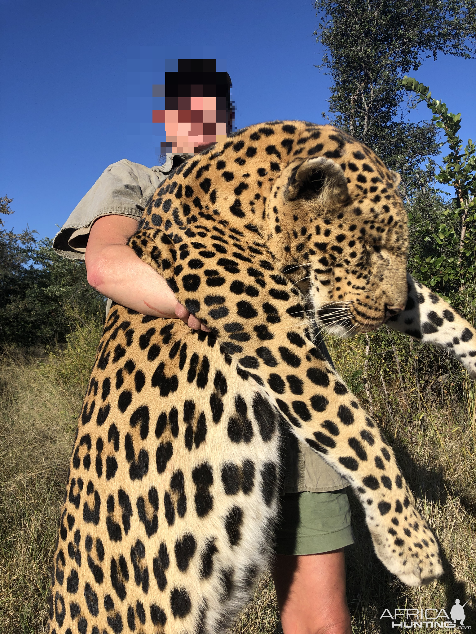 Leopard Hunting Namibia