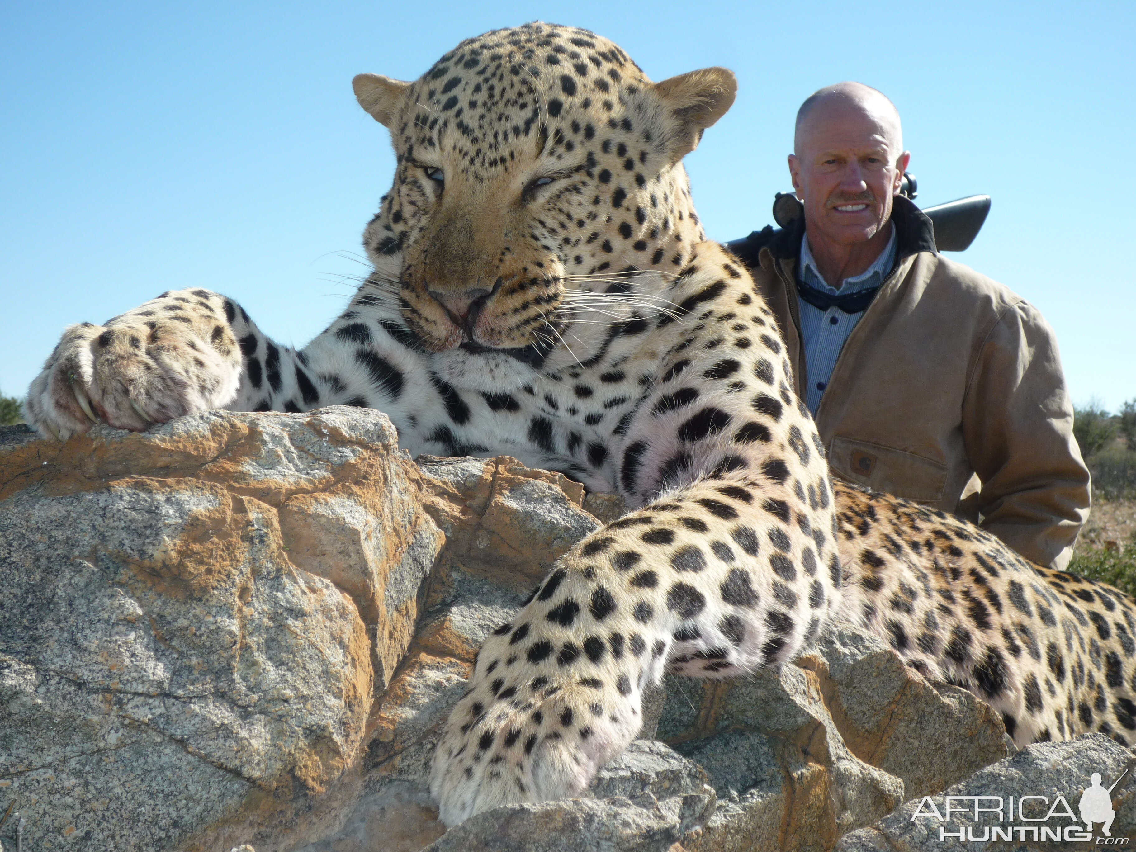 Leopard Hunting Namibia