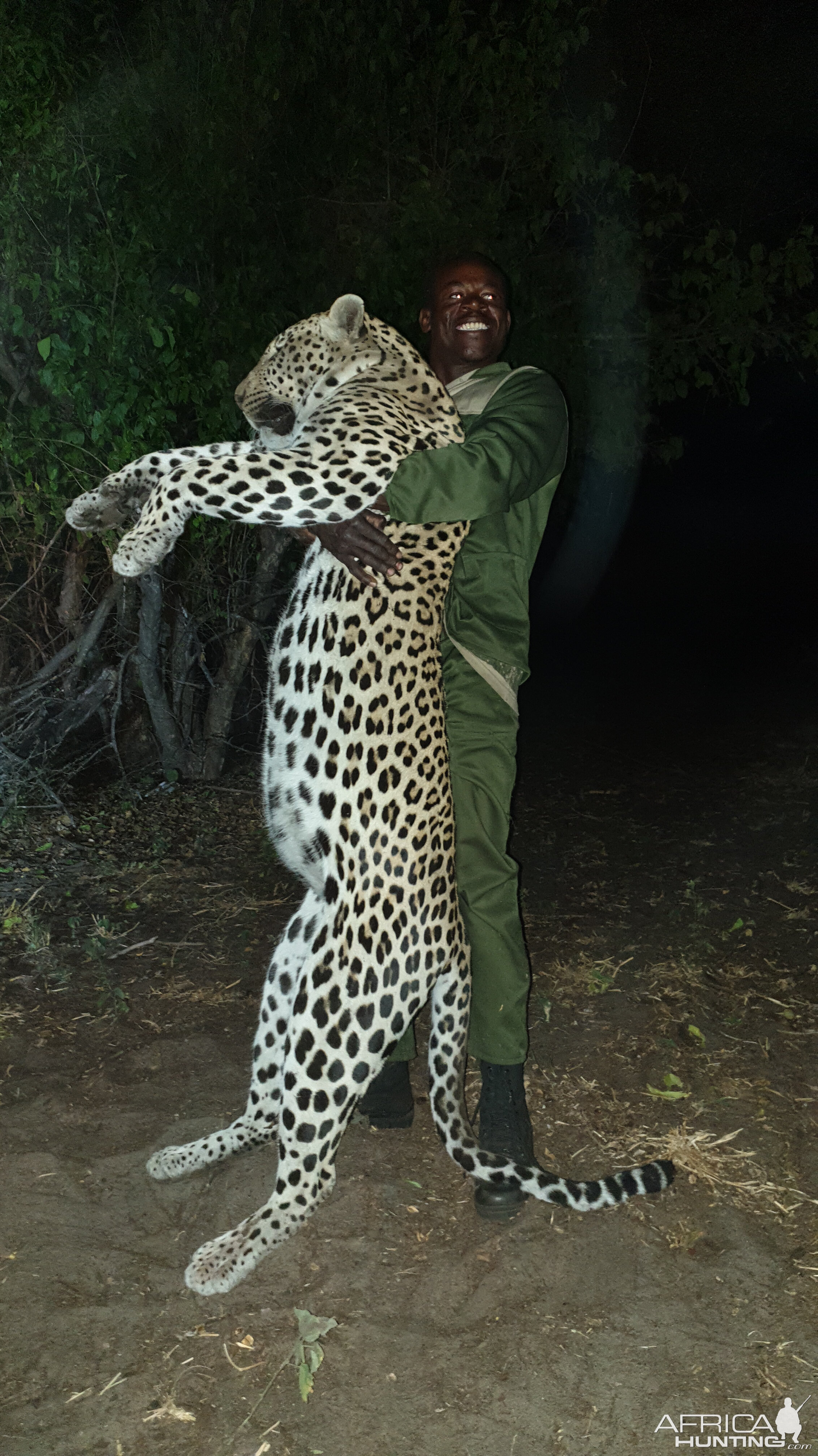 Leopard Hunting Namibia