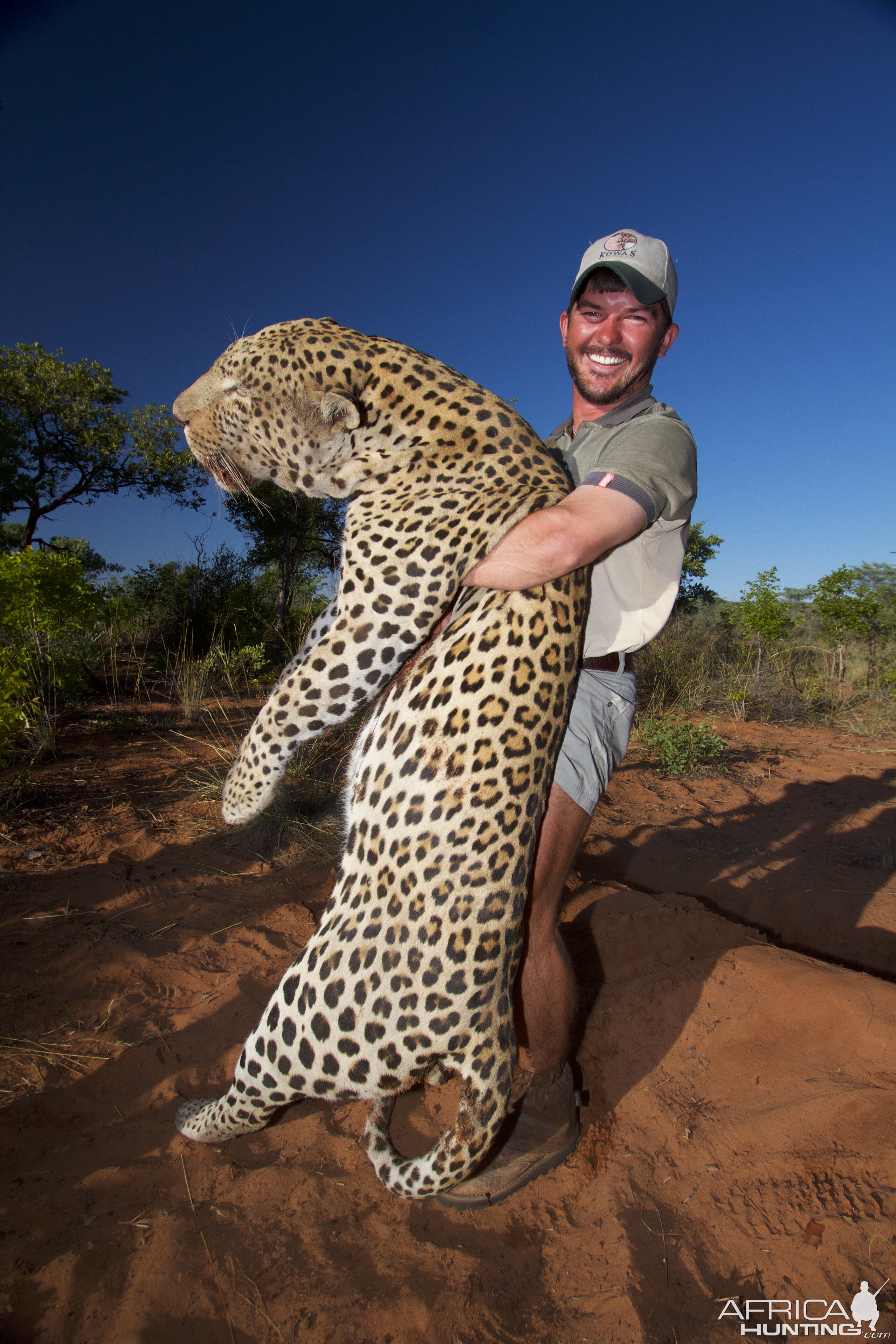 Leopard Hunting Namibia