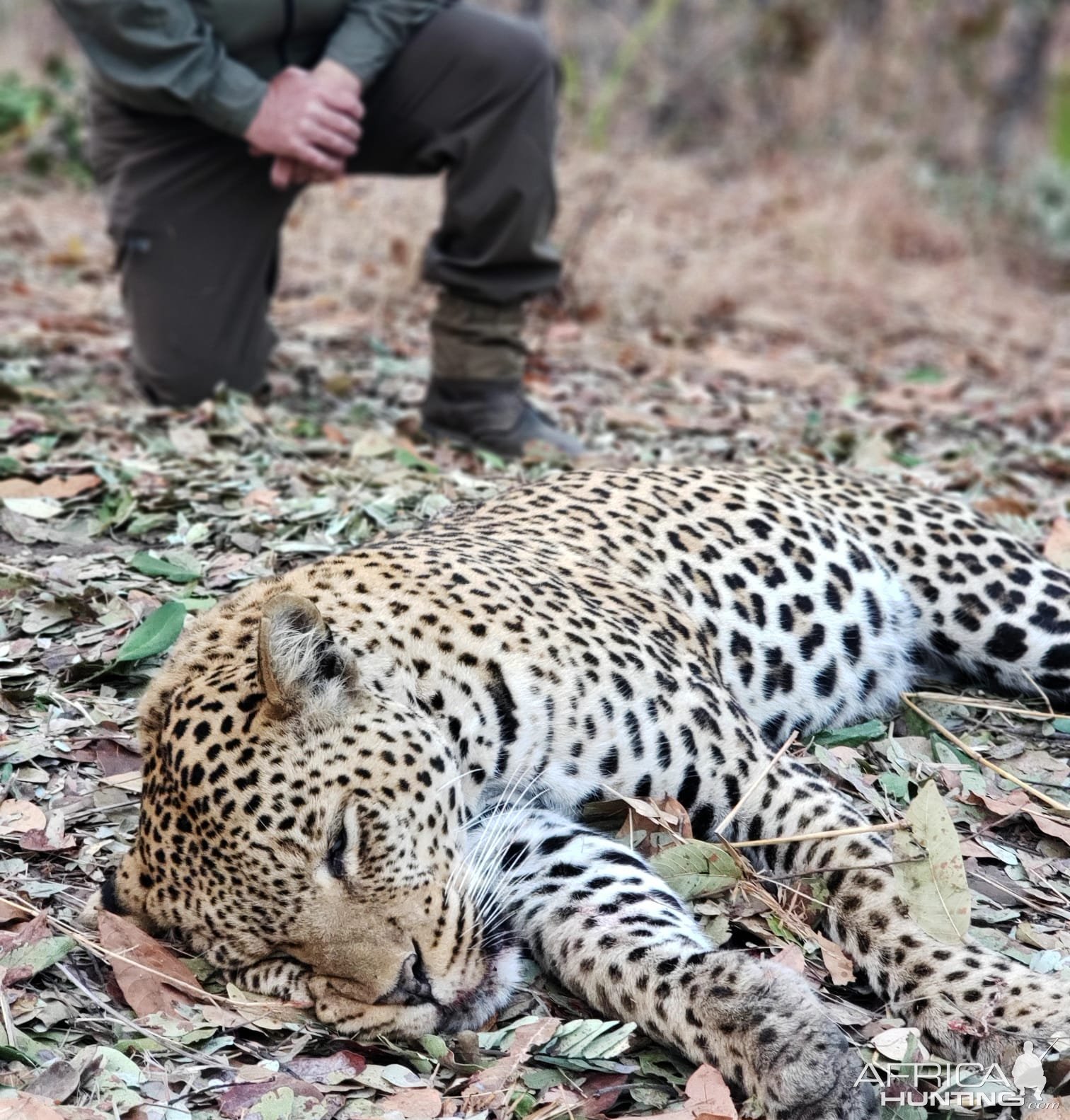 tanzania tourist hunting regulations