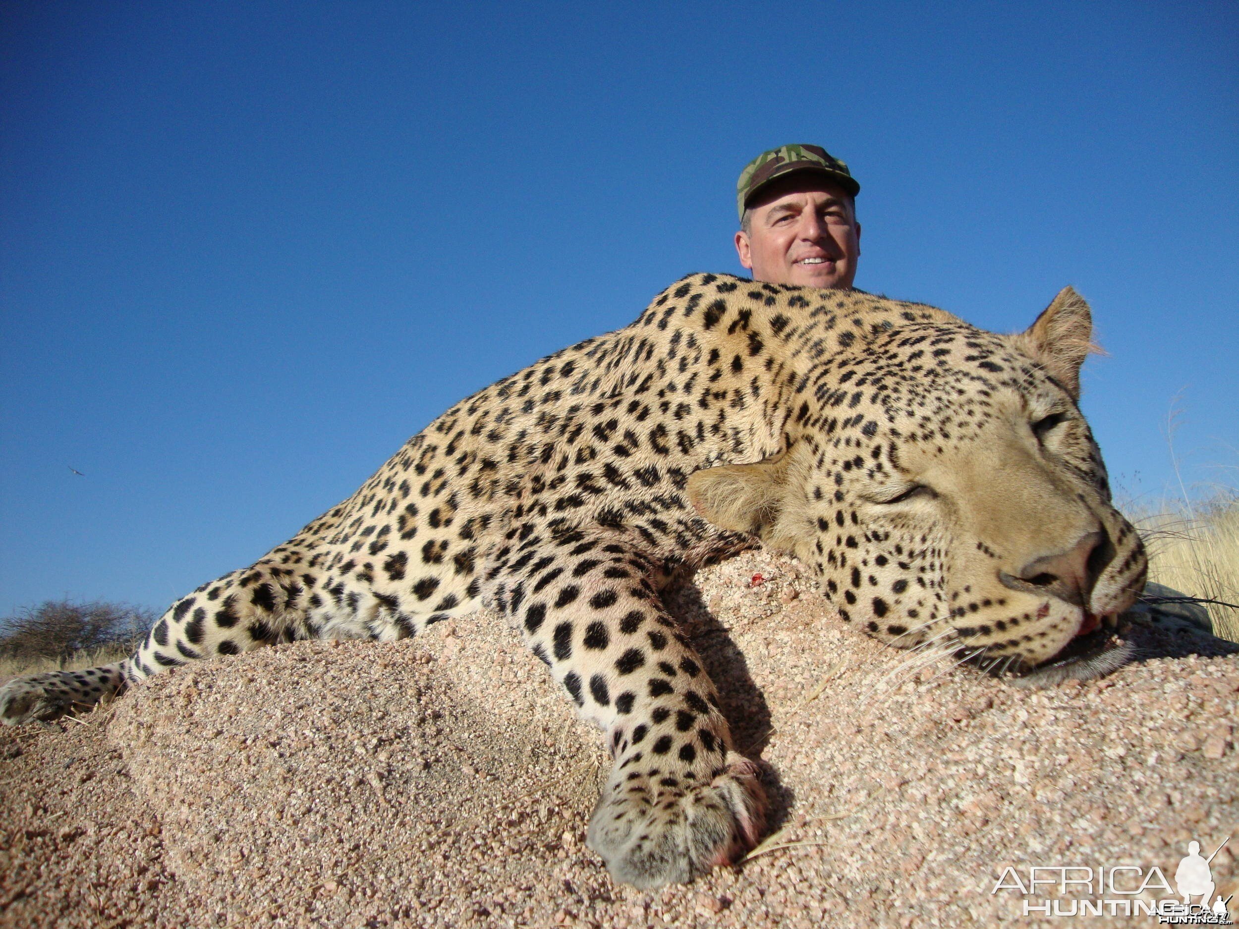 Leopard Hunting -  Yuriy Nikitenko Russia