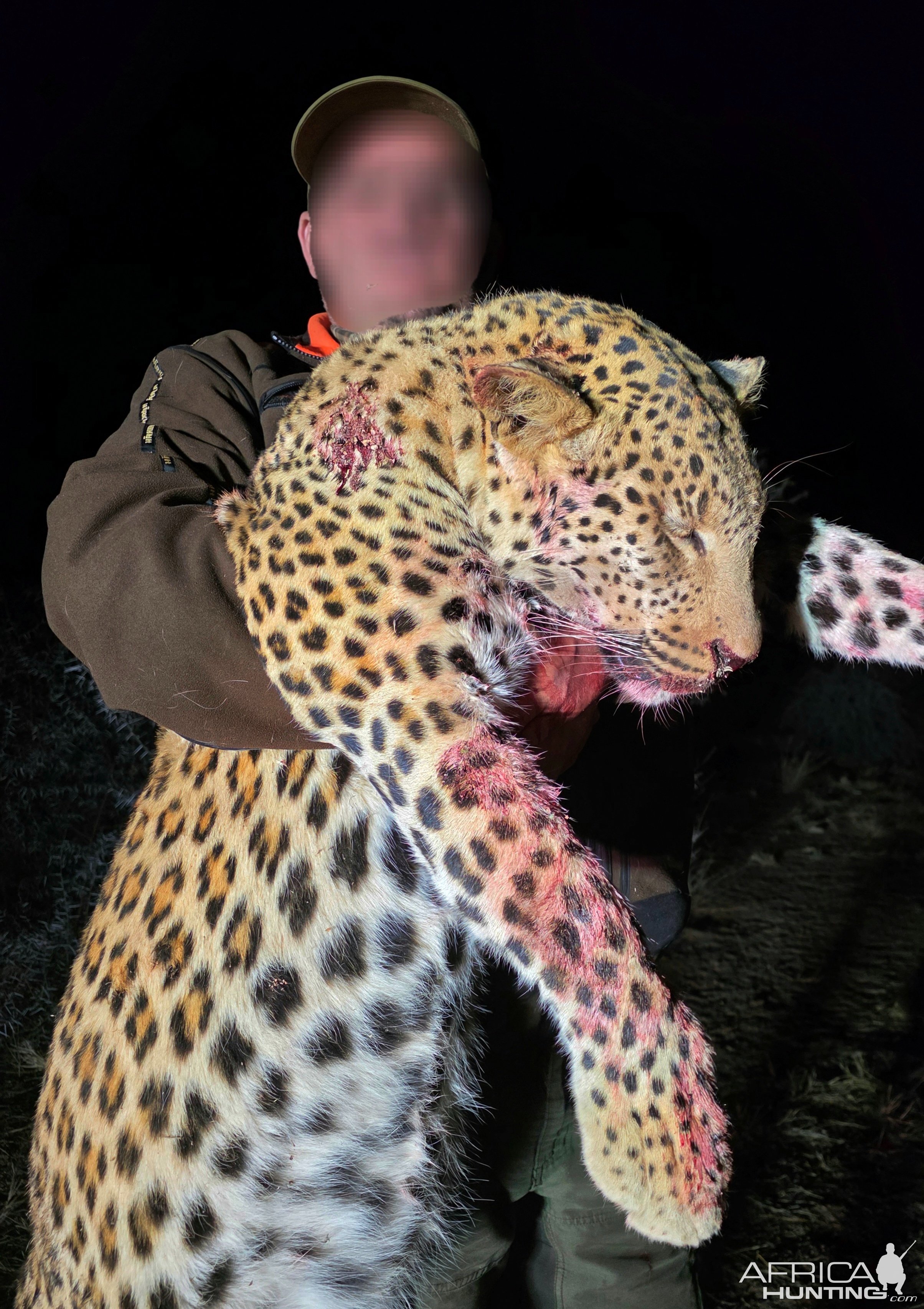 Leopard Namibia with Bayly Sippel Safaris