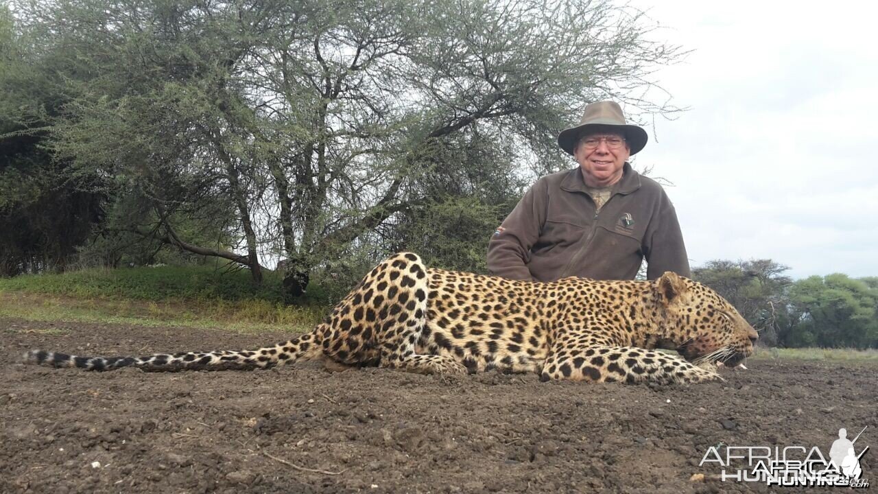 Leopard Ozondjahe Hunting Safaris Namibia