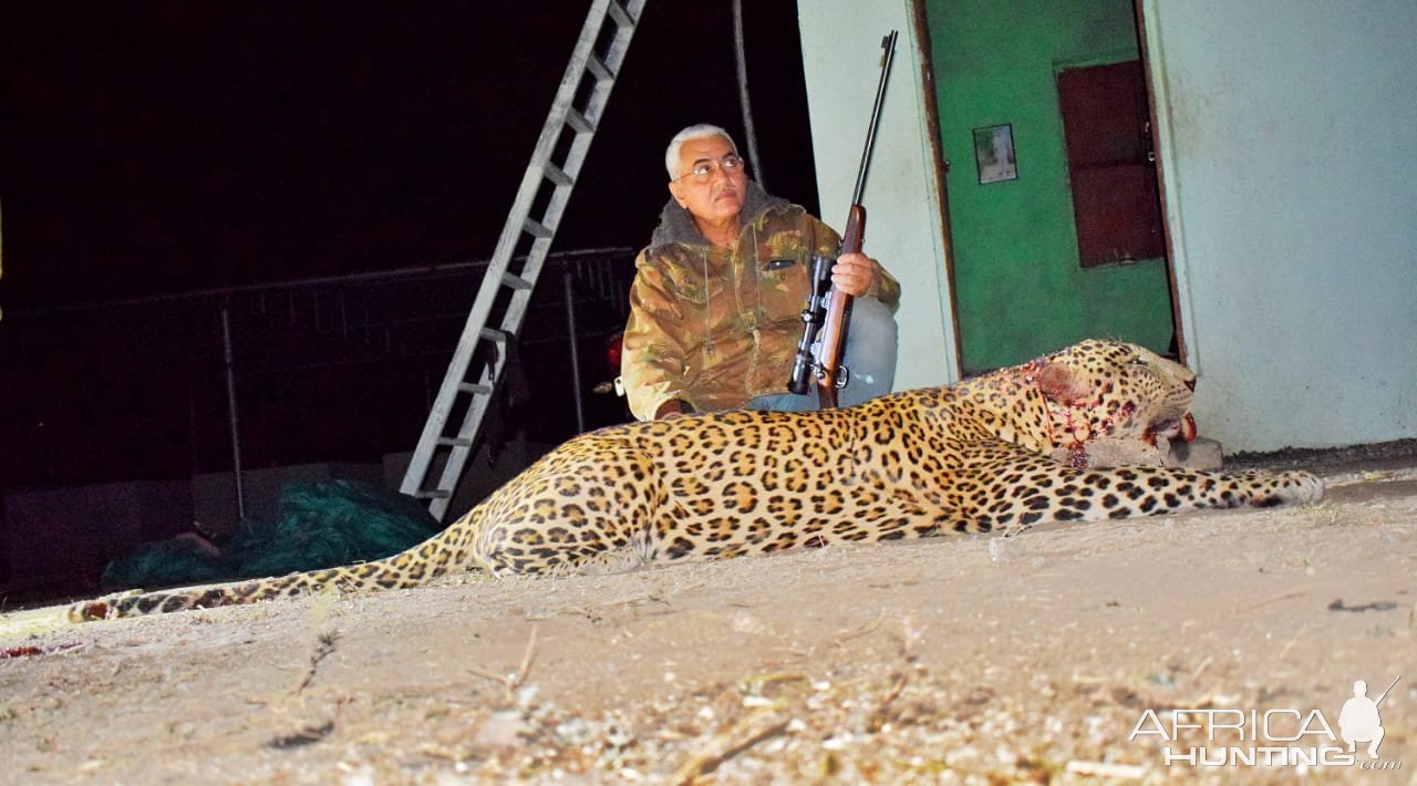 Leopard Southern Gujarat