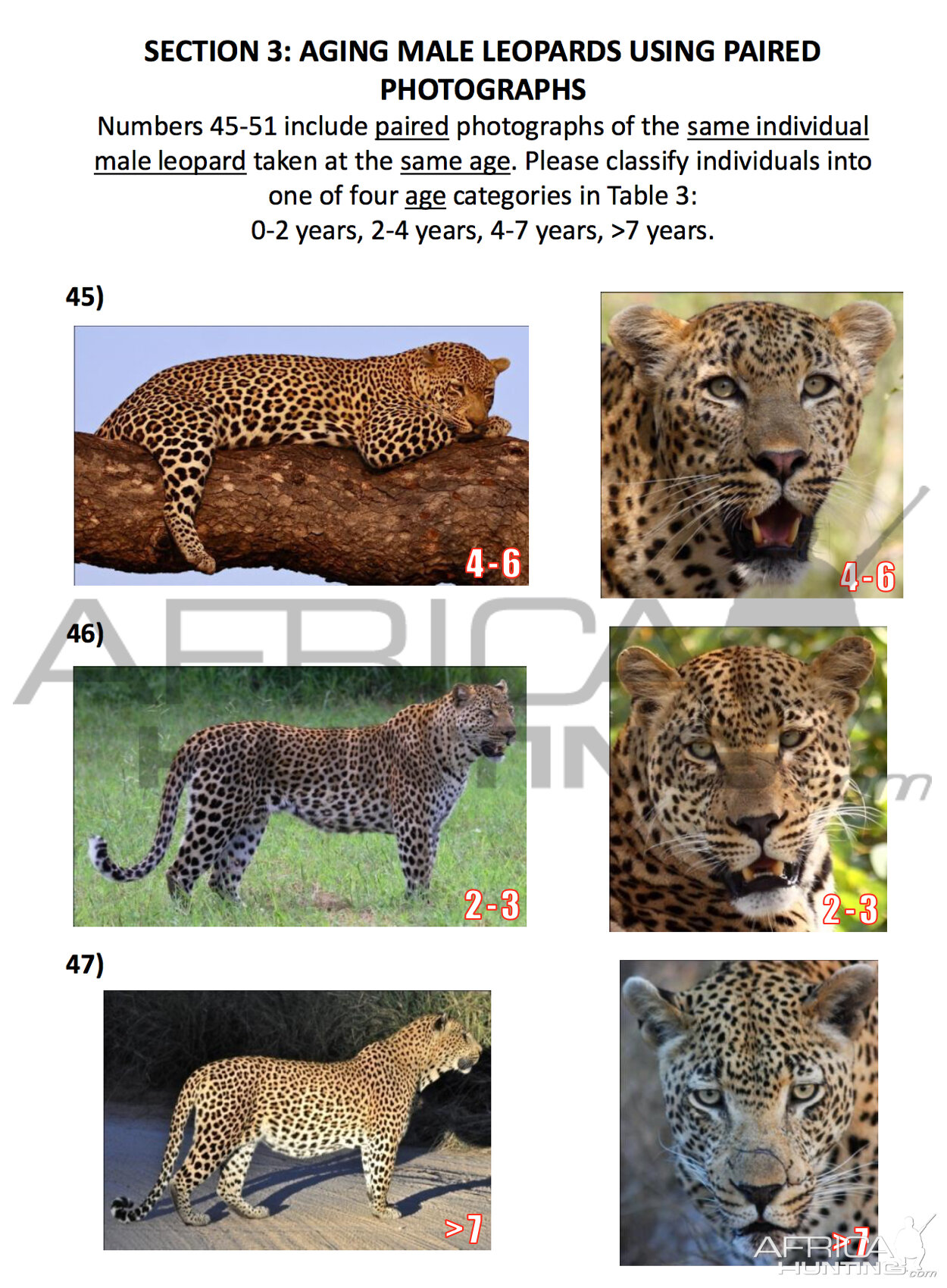 Leopard Test