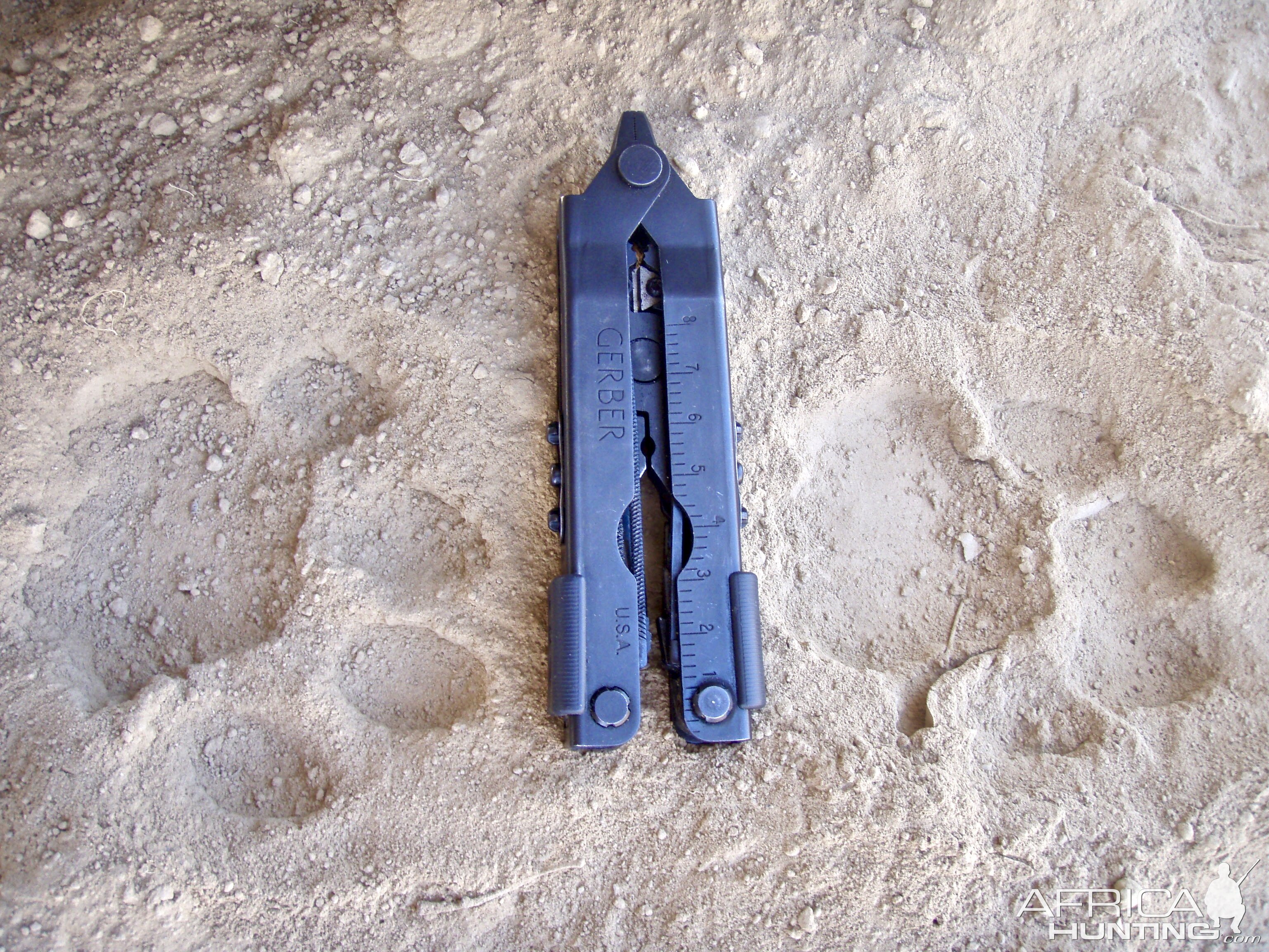 Leopard Track Namibia