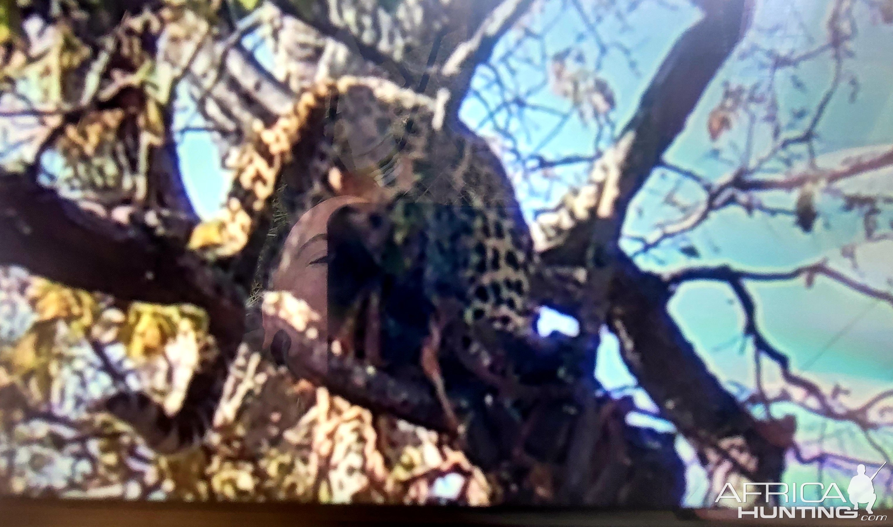 Leopard Trail Camera Tanzania