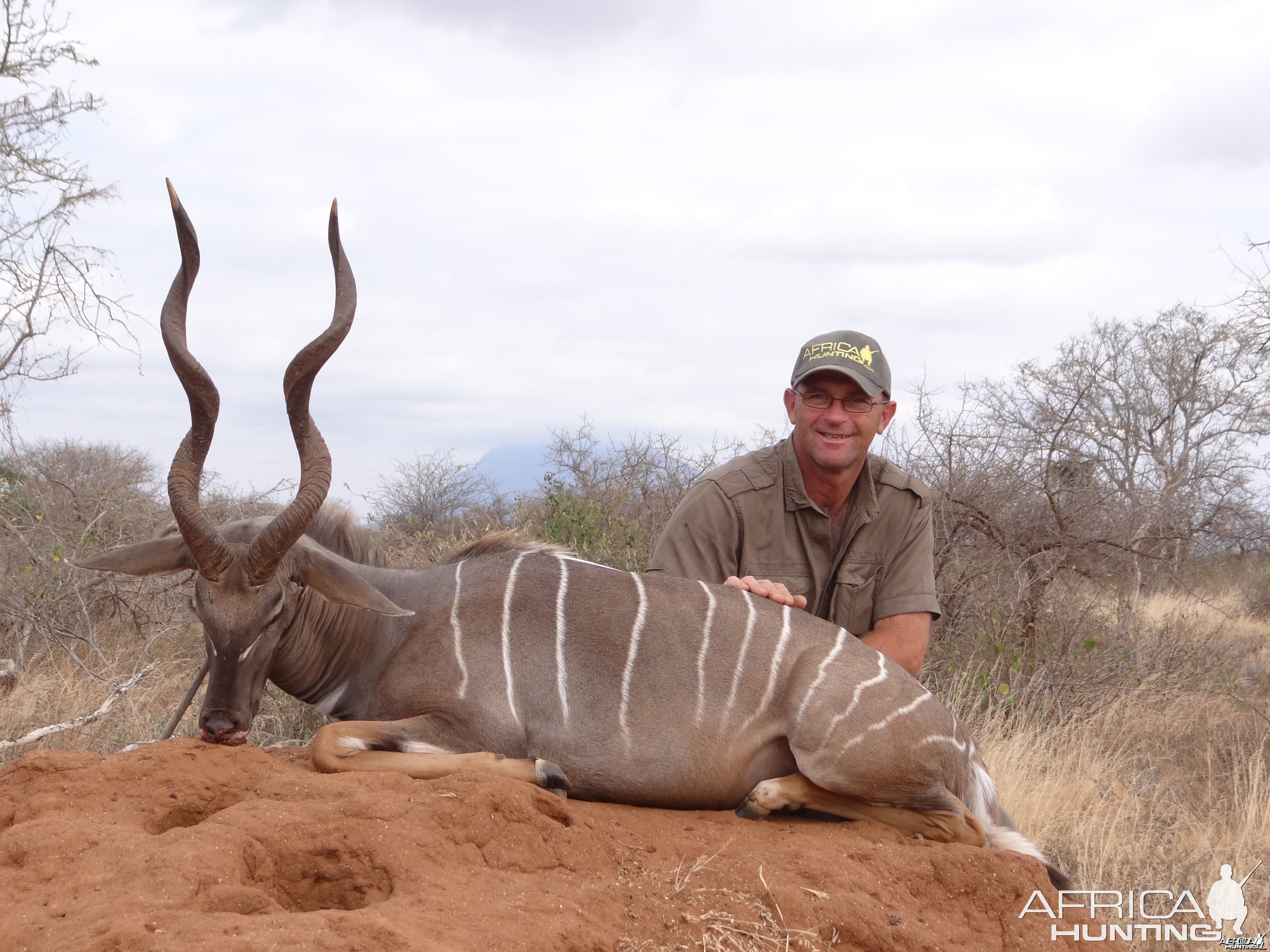 Lesser Kudu Tanzania