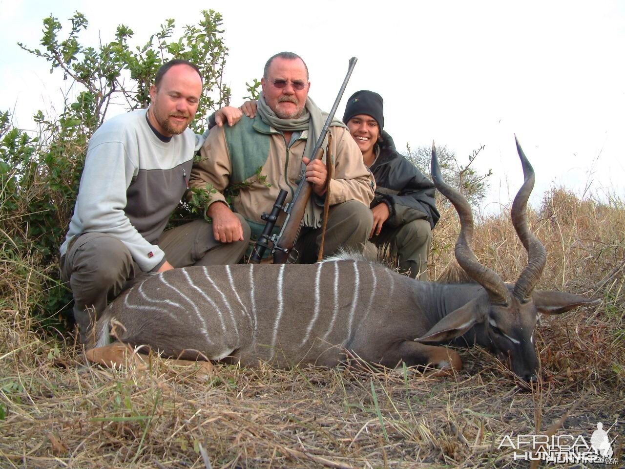 lesser kudu Tanzania