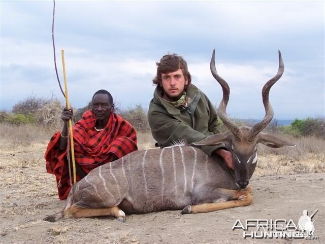 Lesser Kudu