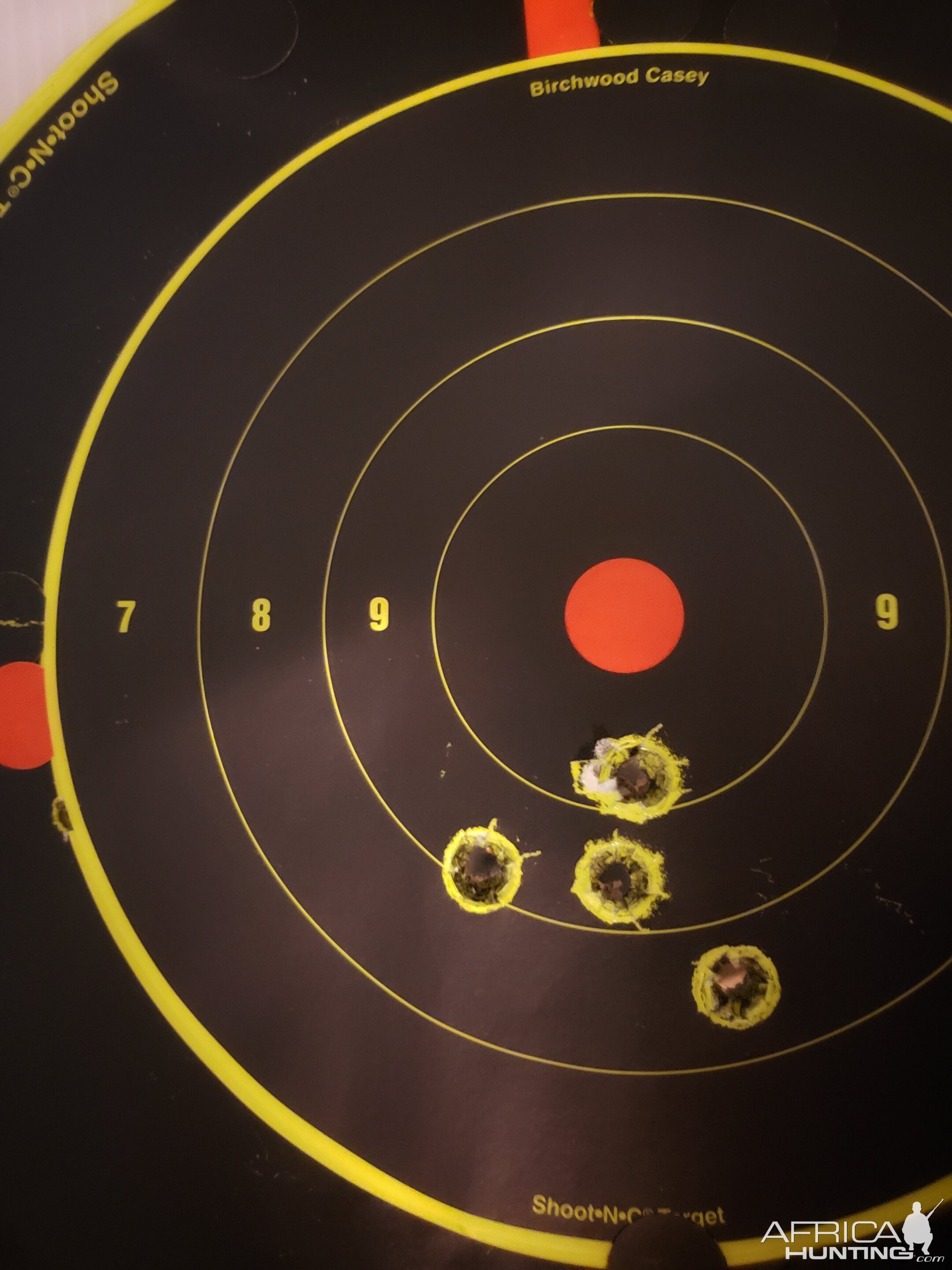 LH Chapuis Brousse 470 NE Double Rifle Range Shots