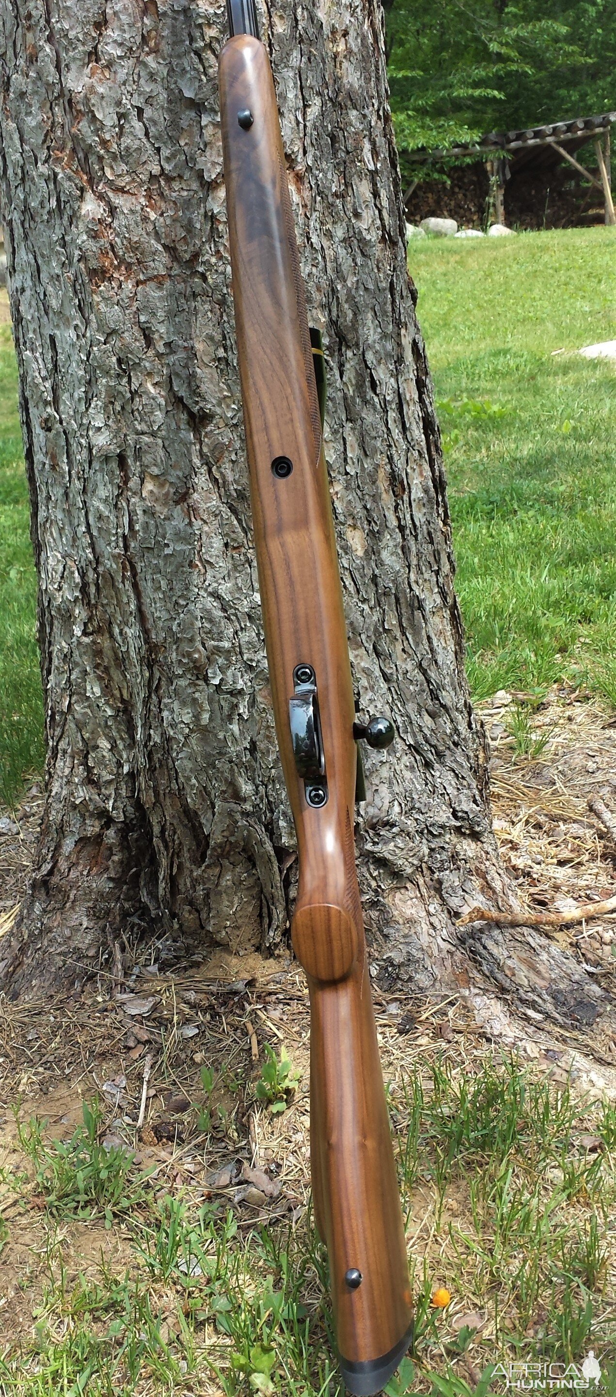 LH Shaw Rifle in .300 H&H