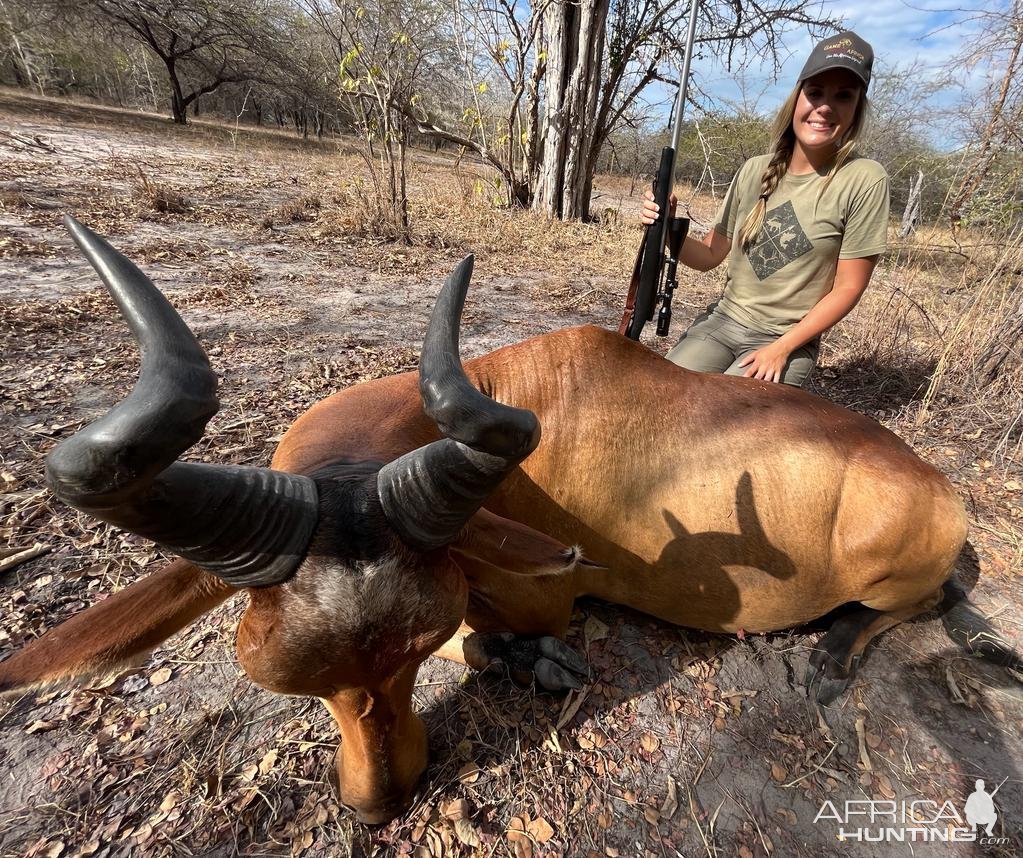 Lichtenstein Hartebeest Hunt Tanzania Selous