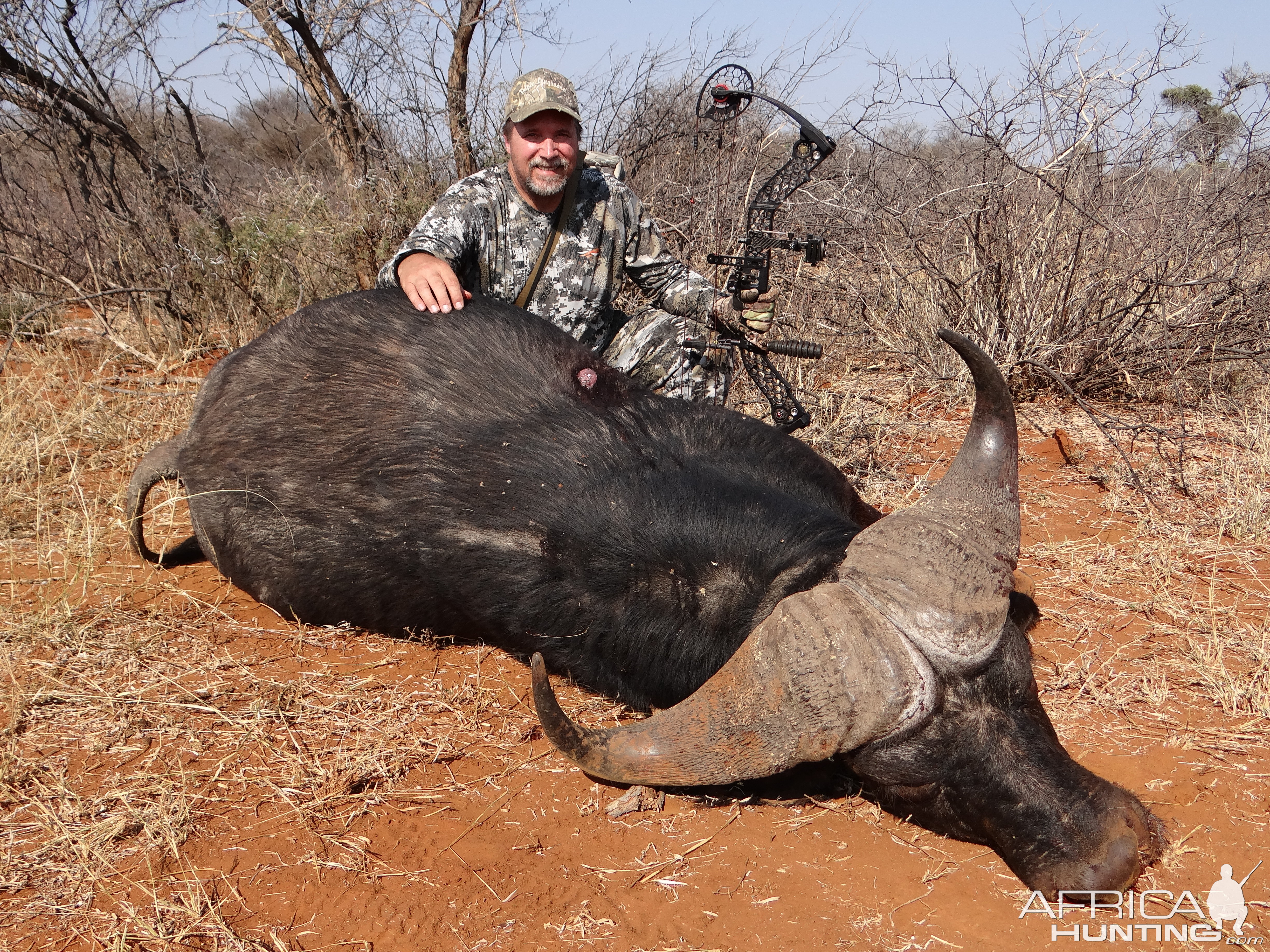 Limcroma Safaris archery cape buffalo