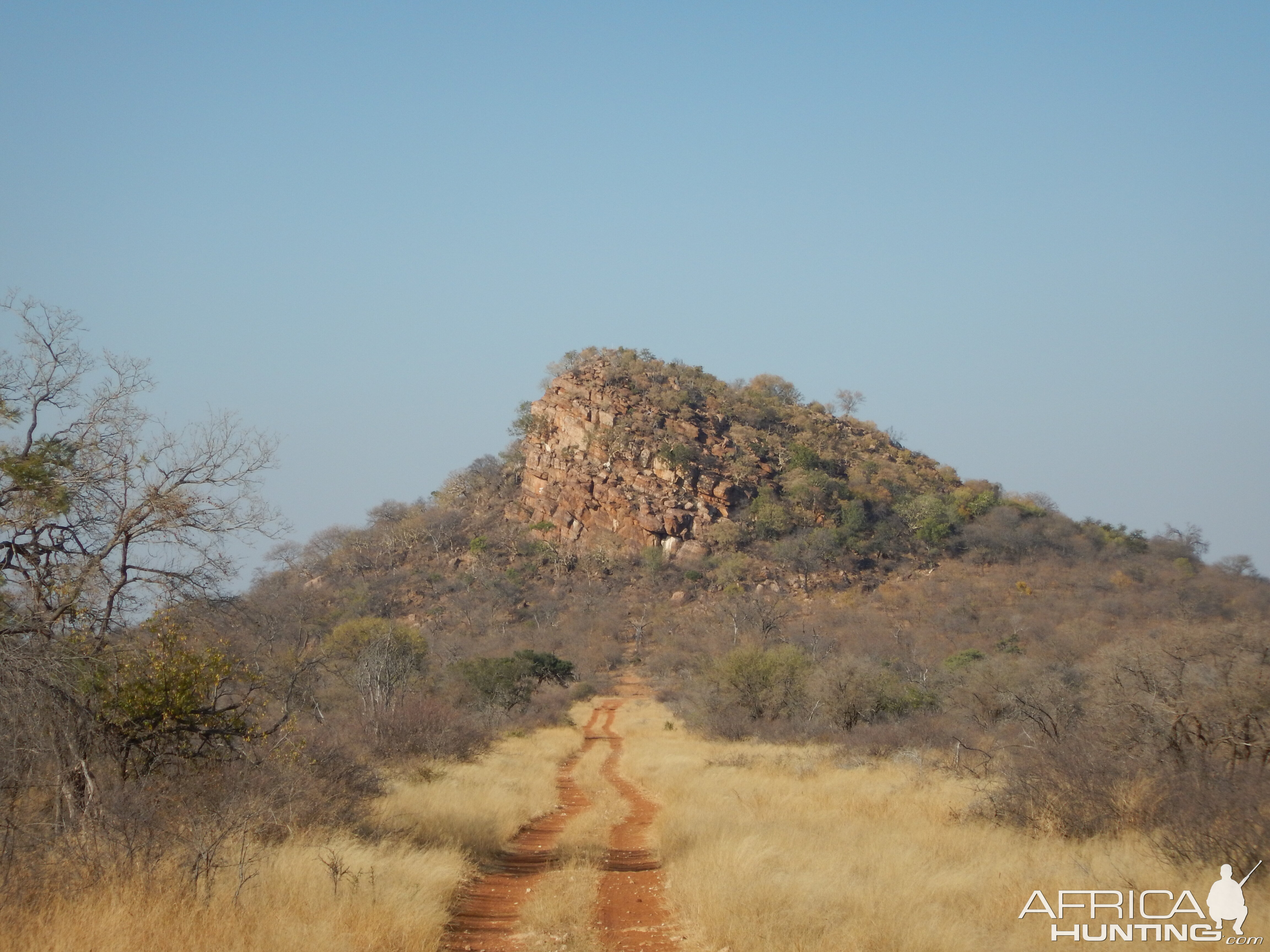 Limpopo Hunting Area South Africa