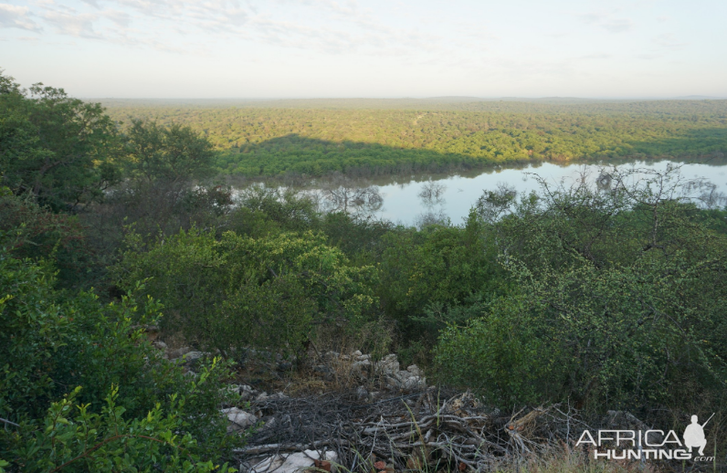 Limpopo Nature South Africa