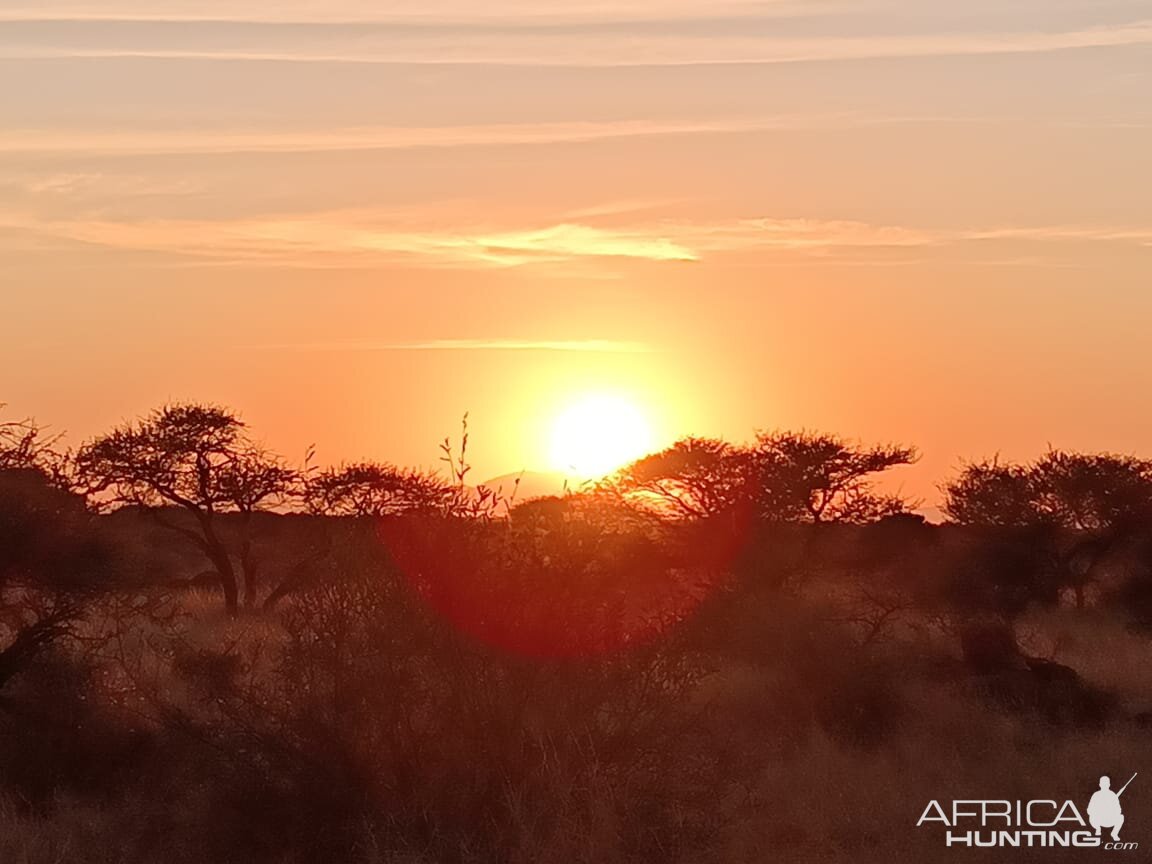 Limpopo Nature South Africa