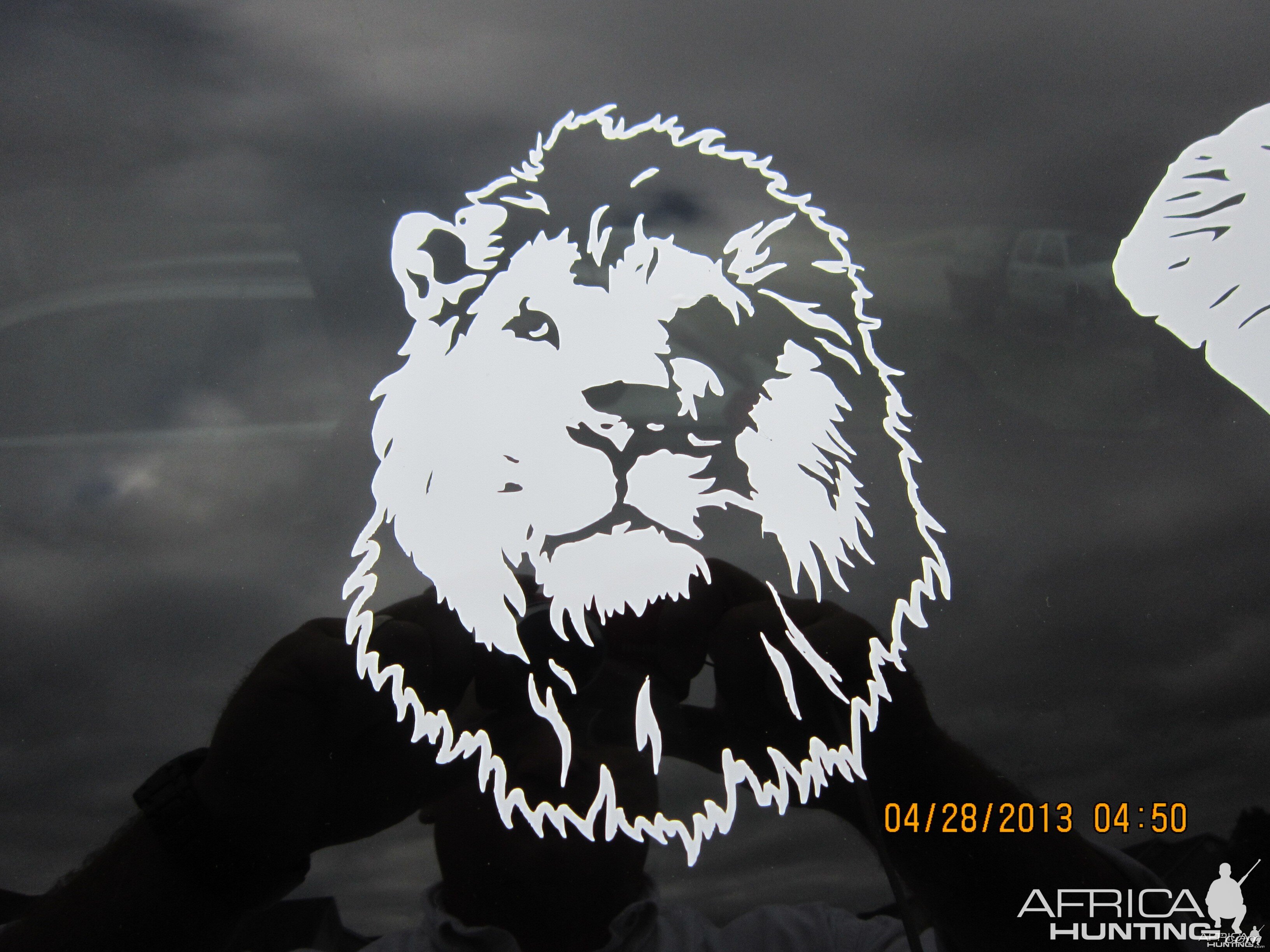 Lion Decal Stickers