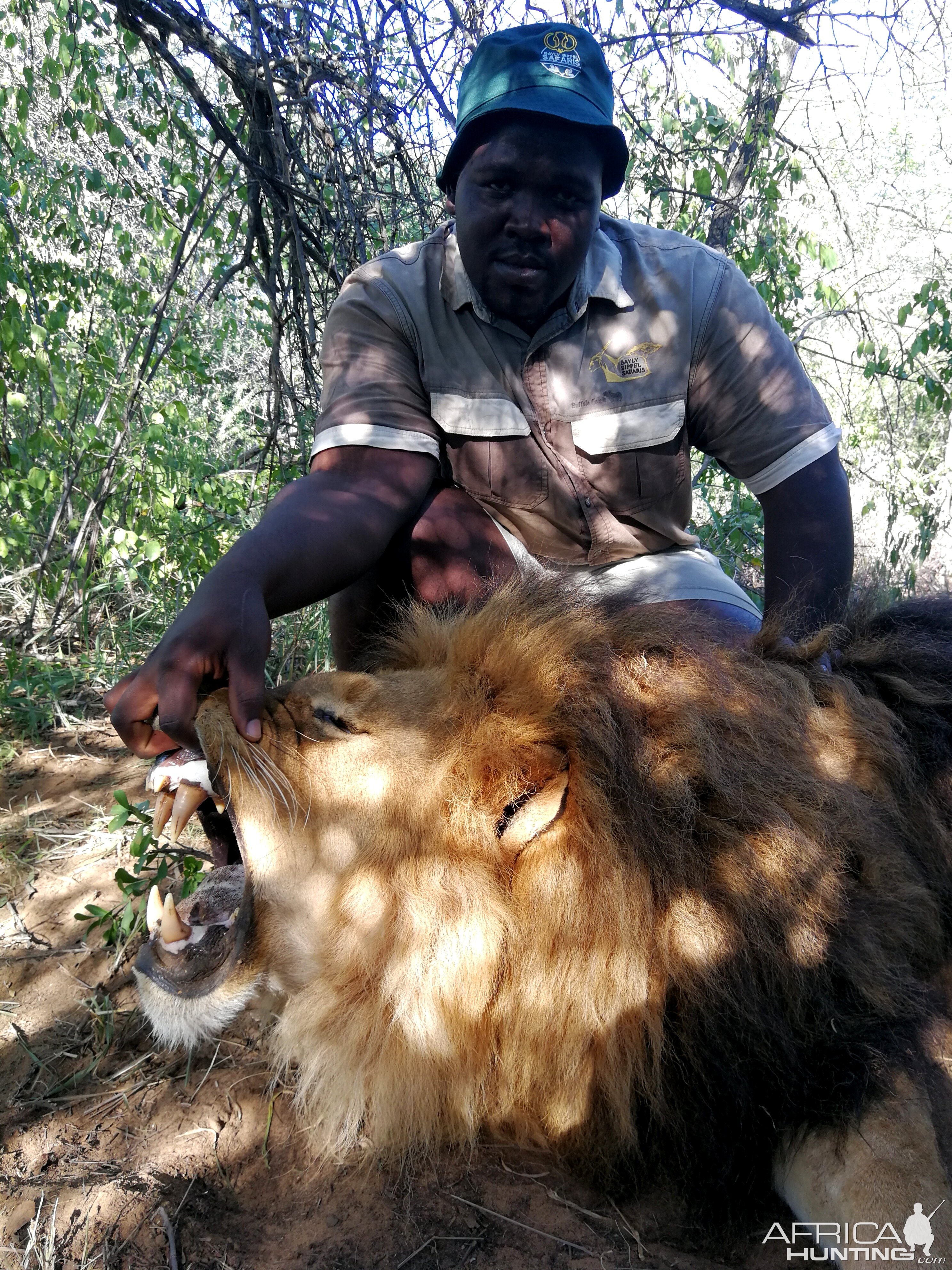 Lion Hunt South Africa