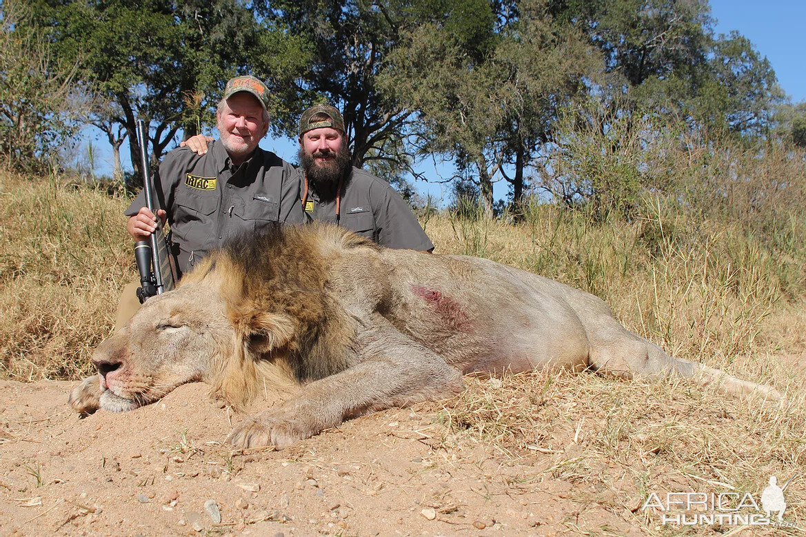 Lion Hunt South Africa