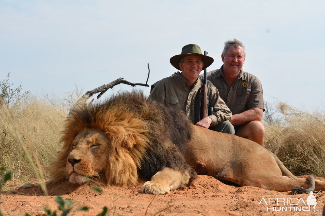 safari lion hunt