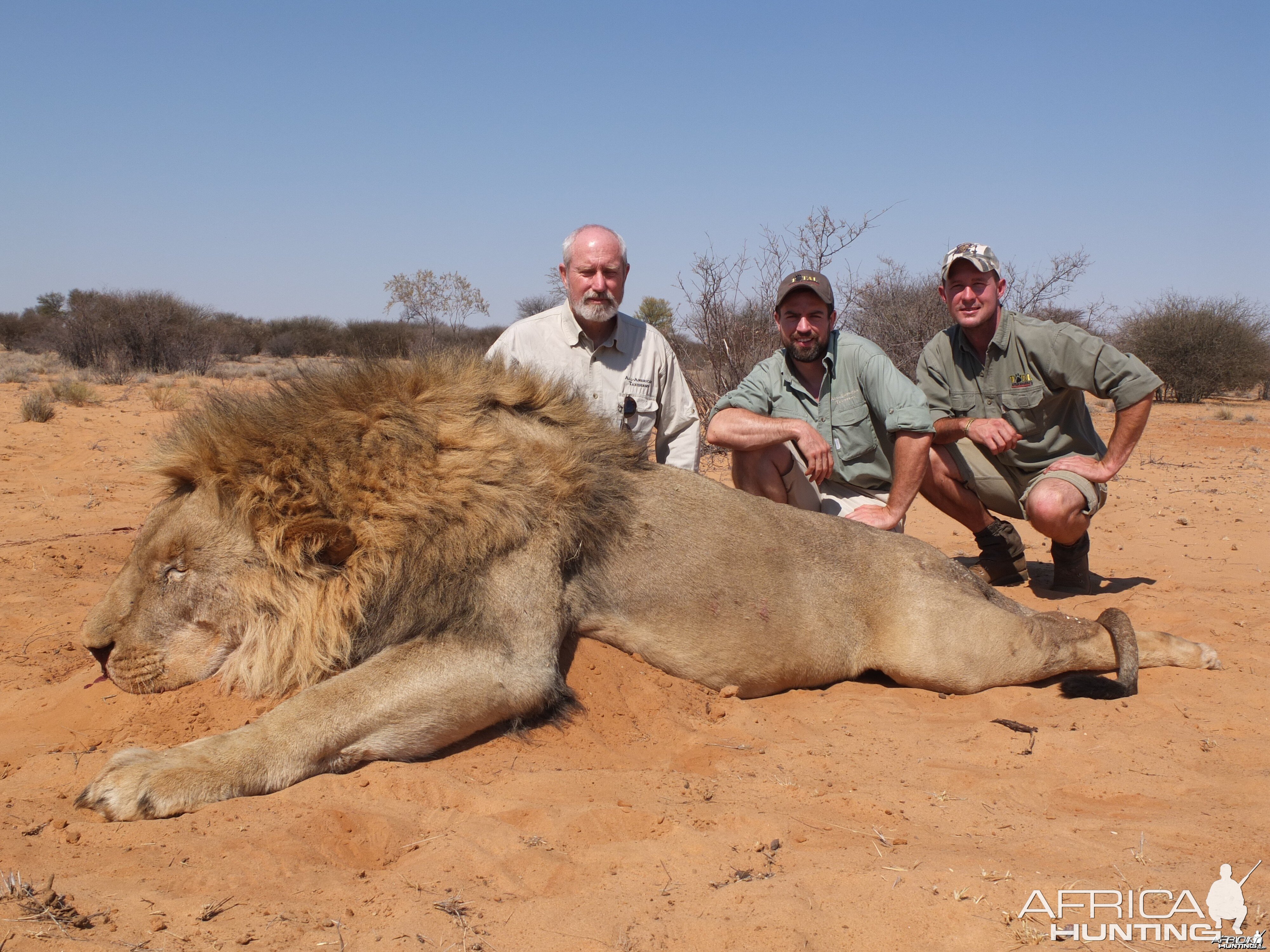 Lion hunt with Total African Safaris