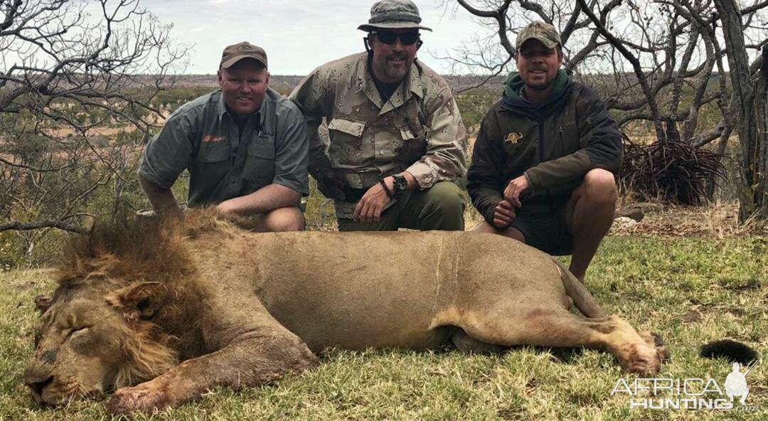 Lion Hunt Zimbabwe