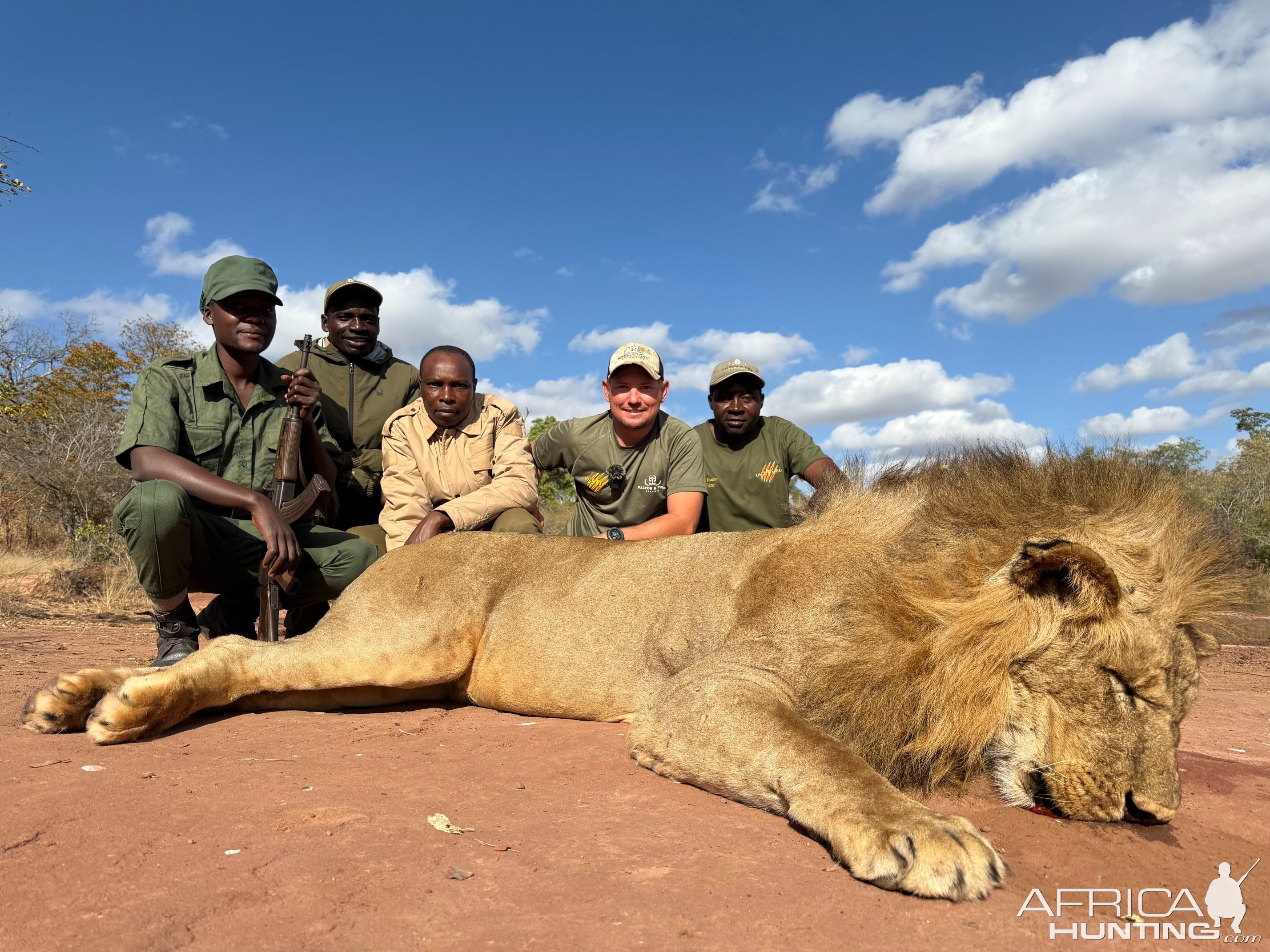 Lion Hunt Zimbabwe
