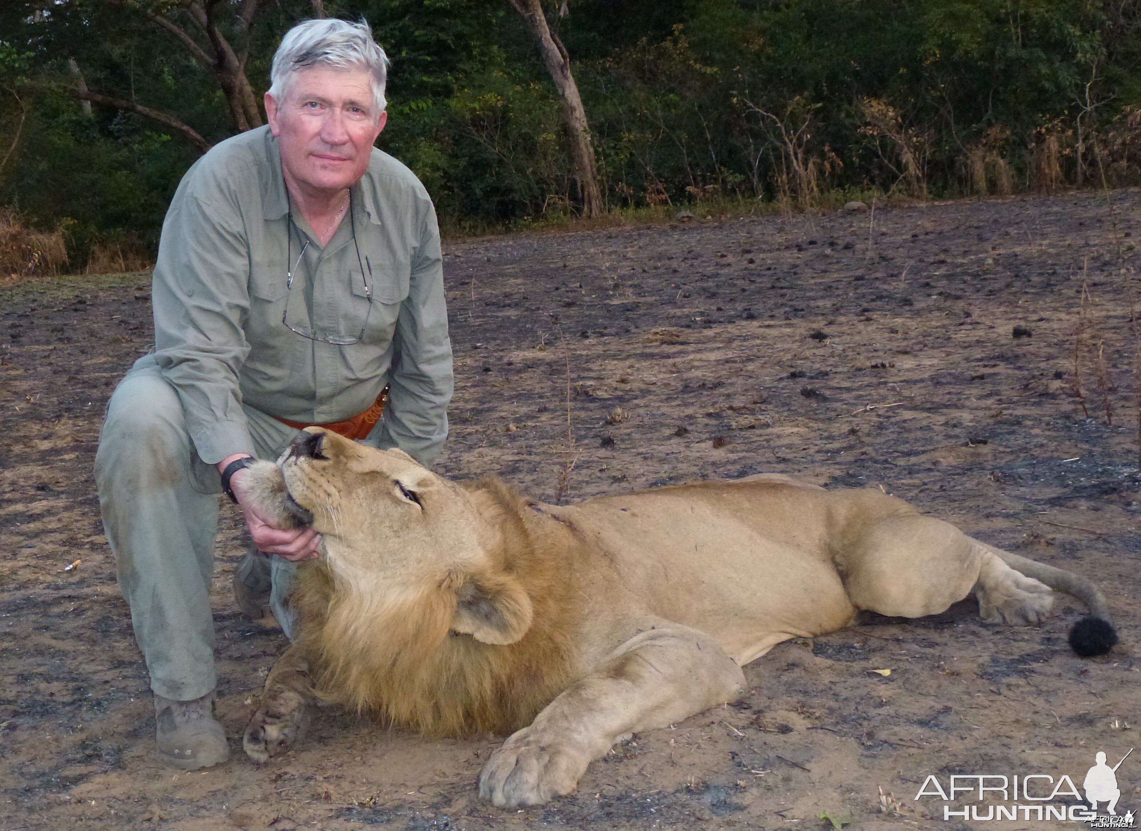 Lion hunted in Central Africa with Club Faune