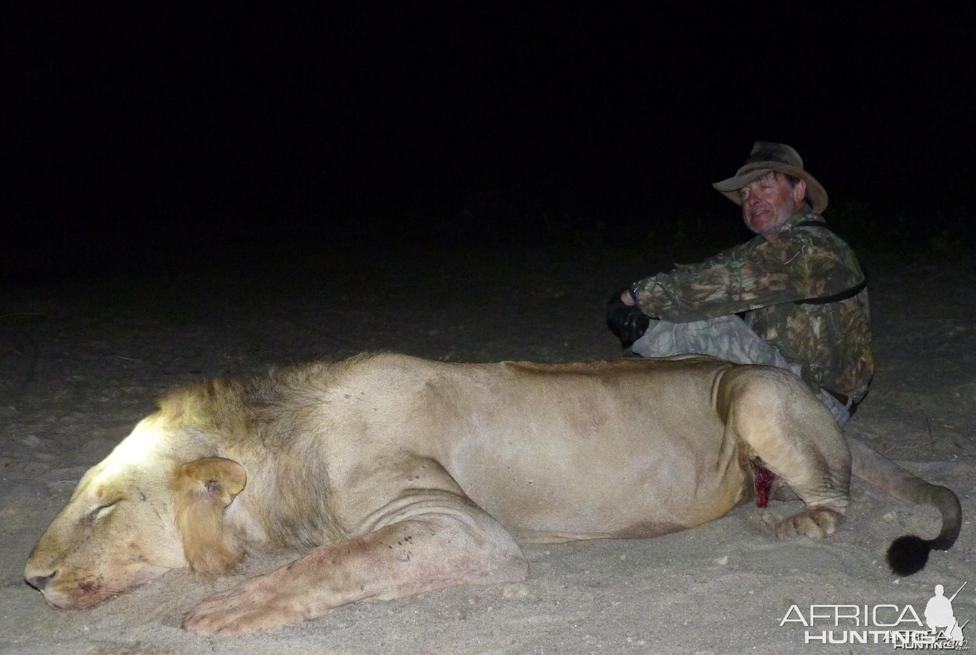 Lion hunted in the Selous, Tanzania