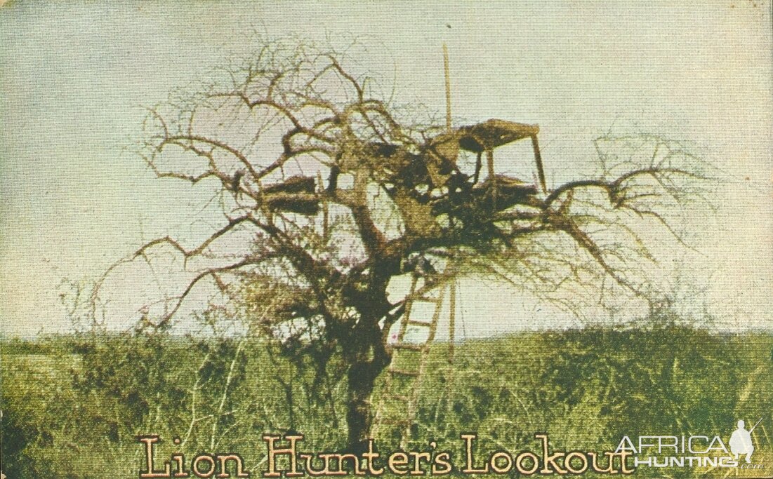 Lion Hunters Lookout