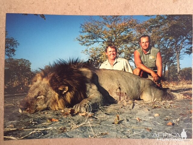 Lion Hunting Botswana AfricaHunting com