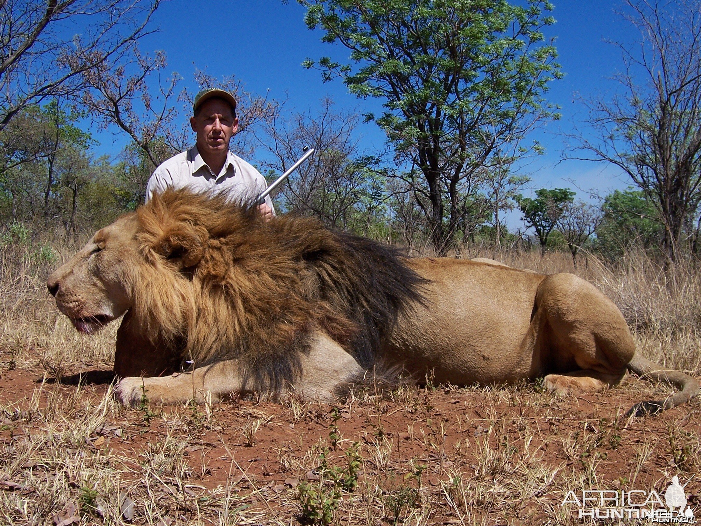 Lion Hunting in South Africa