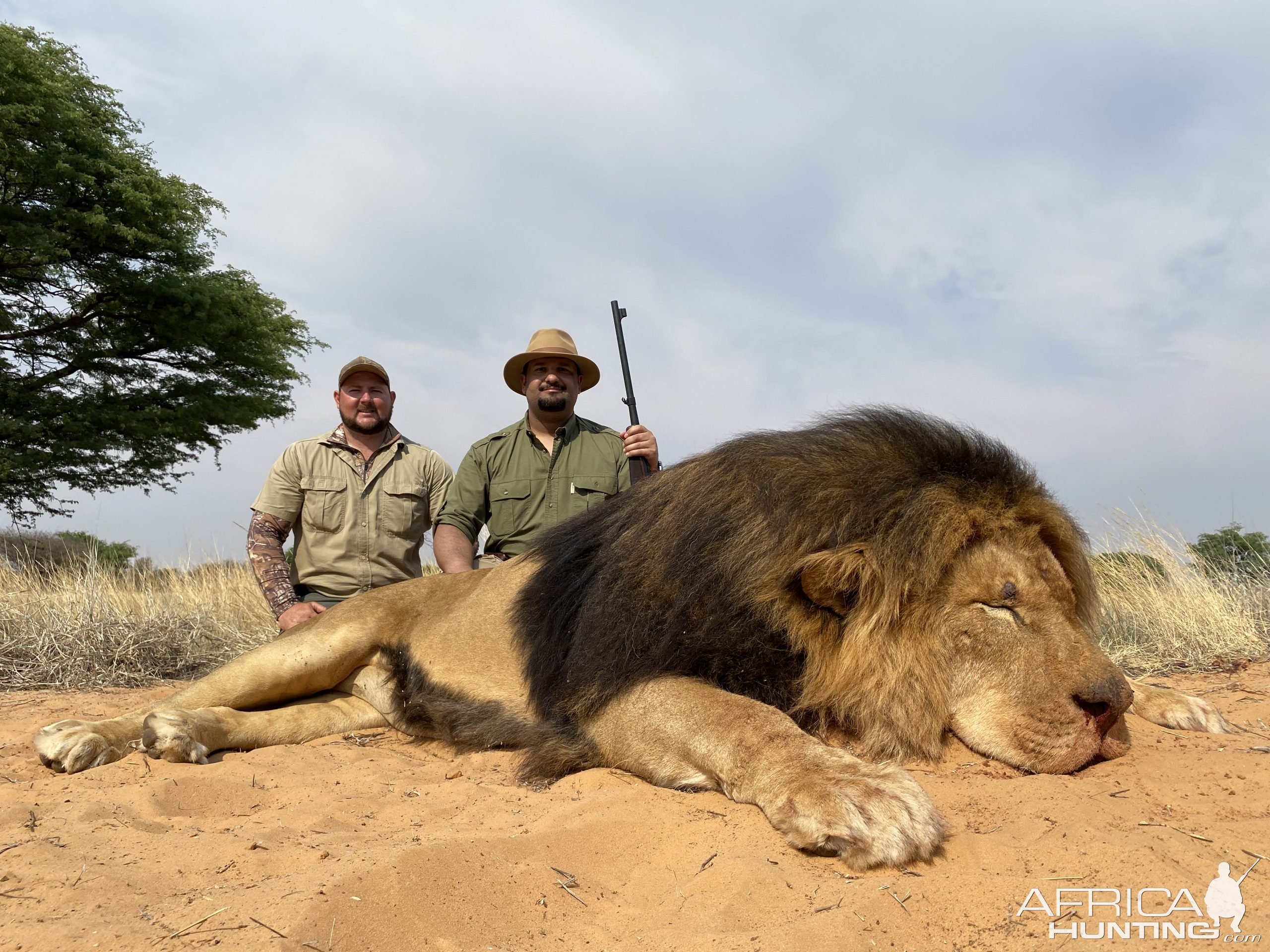 Lion Hunting Limpopo South Africa